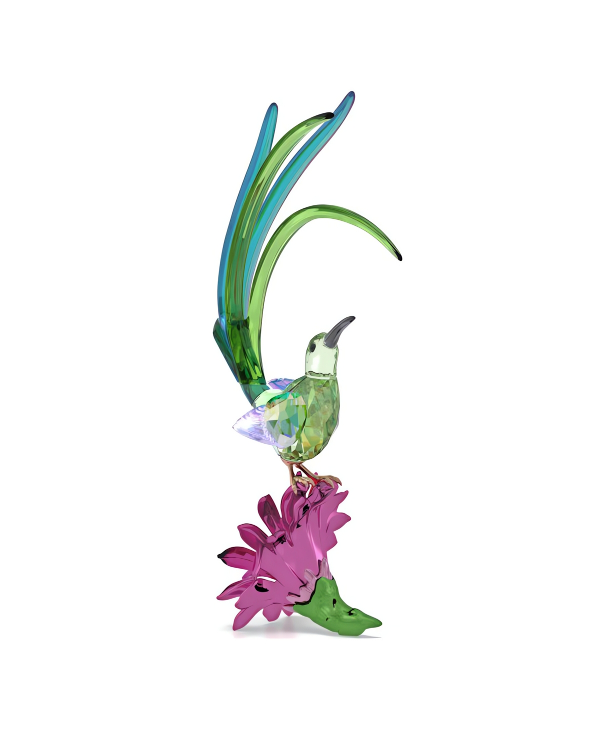Swarovski Idyllia Sugarbird and Cactus Flower Crystal Figurine