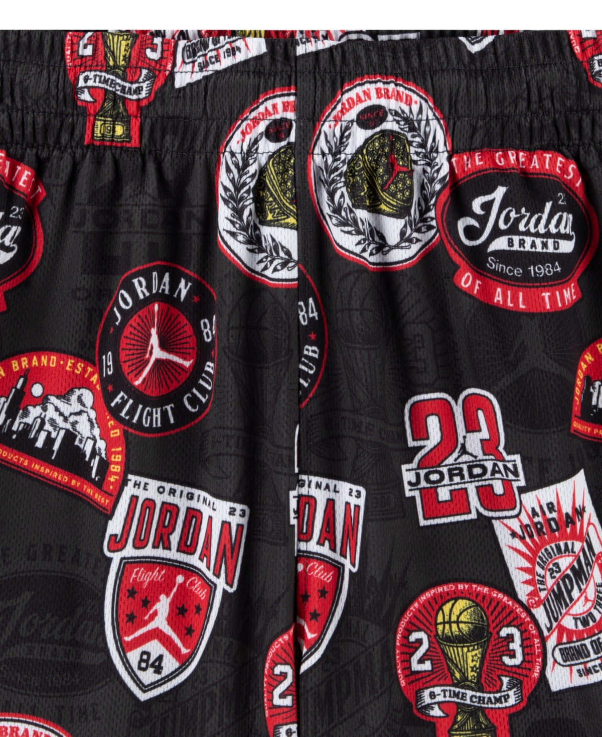 Jordan Boys' 4-7 Interstate 23 Cruise Control Shorts