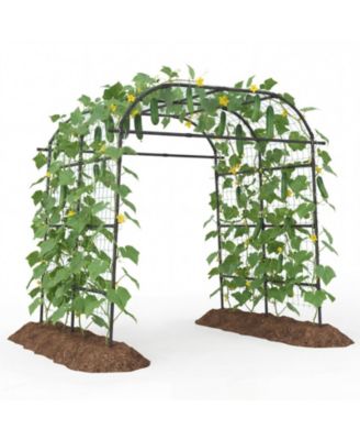7.5 Ft Tall Metal Garden Arch Trellis for Climbing Plants