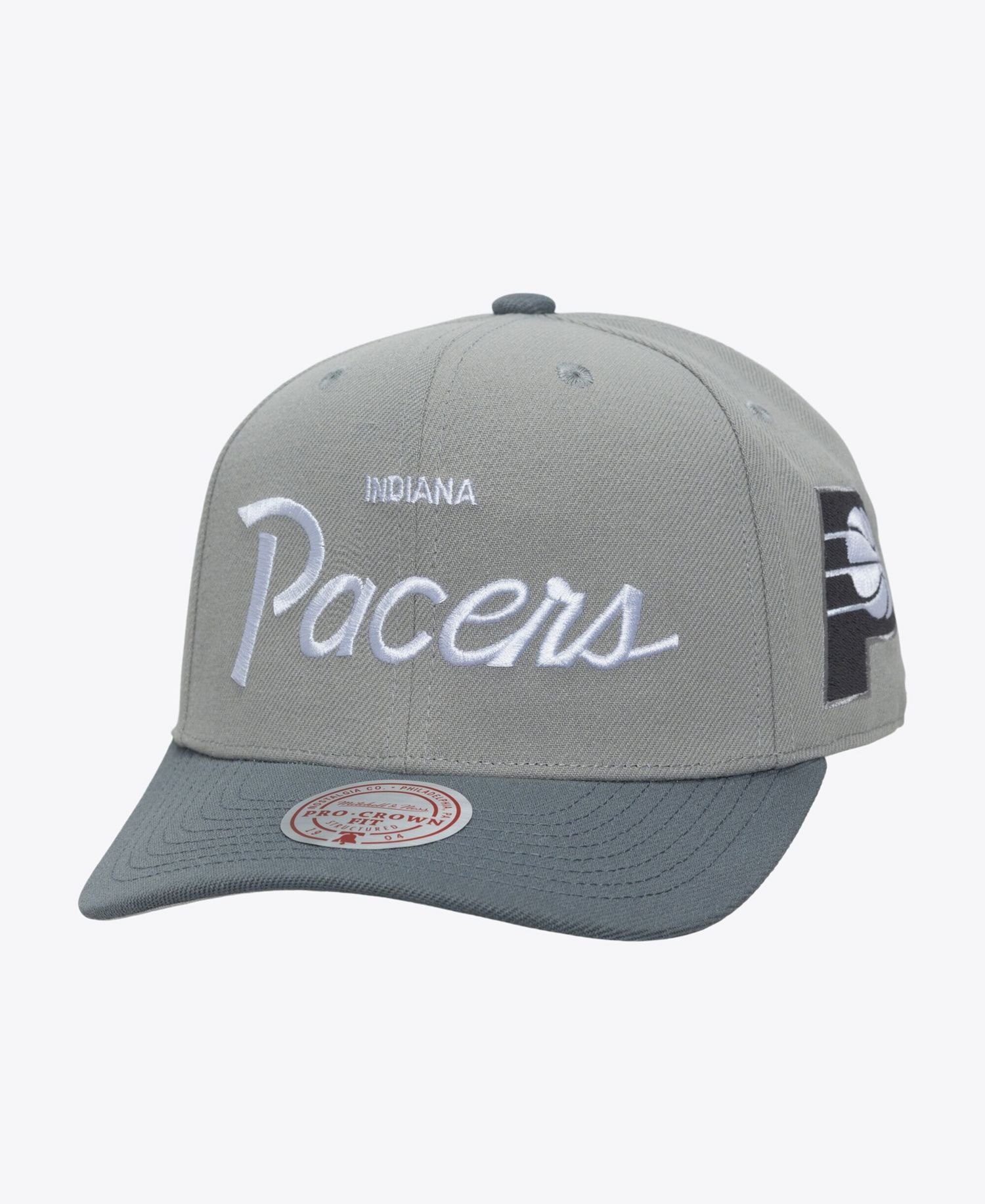 Men's Gray Indiana Pacers Thunderstorm Head Coach Pro Crown Snapback Hat
