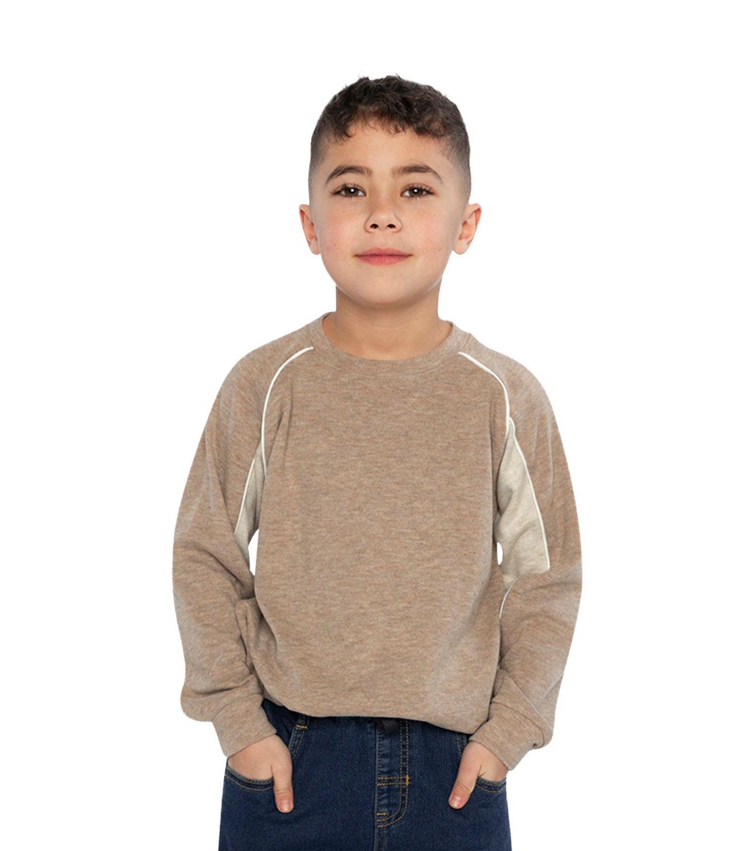 Little Boys 6-12 Brushed Jersey Top with Raglan Sleeves Taupe
