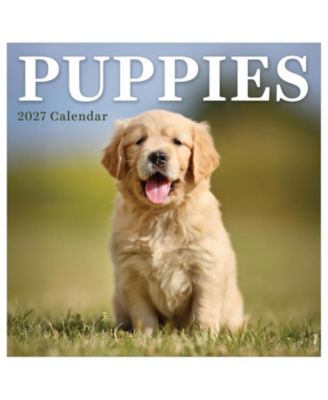 2027 Puppies Mini Calendar