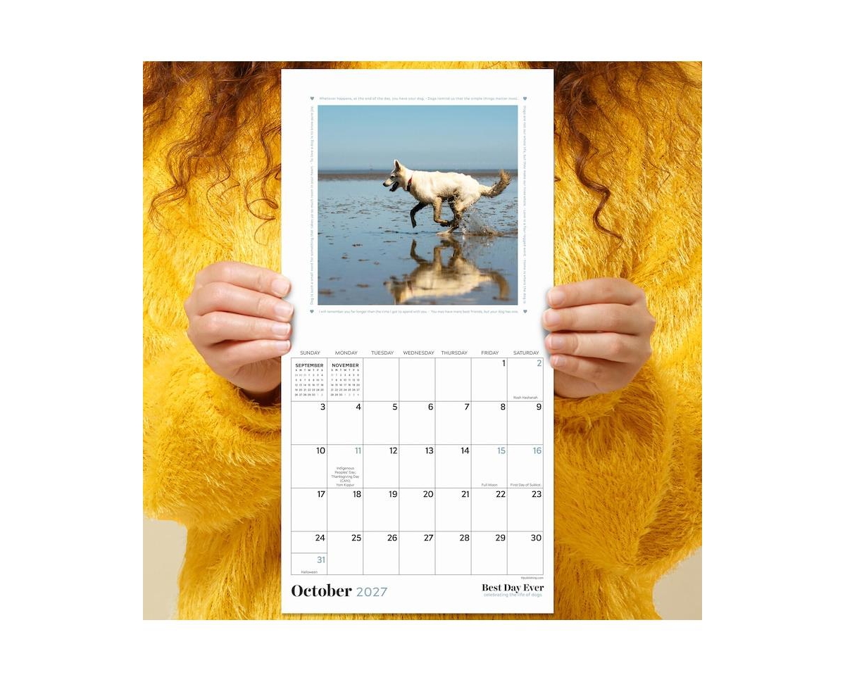 Tf Publishing Paper Goods 2027 Best Day Ever Dogs Mini Calendar