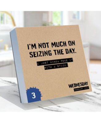 2027 Anti Affirmations/Daily Sarcasm Daily Desktop Calendar