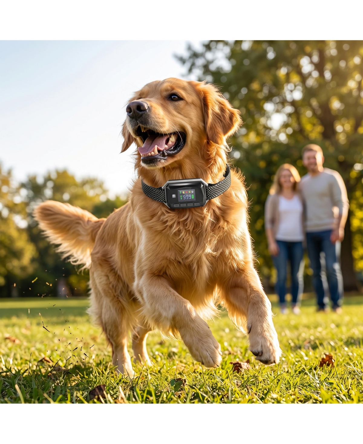 PawHut Gps Dog Shock Collar IP67 Waterproof, Dog Training Collar