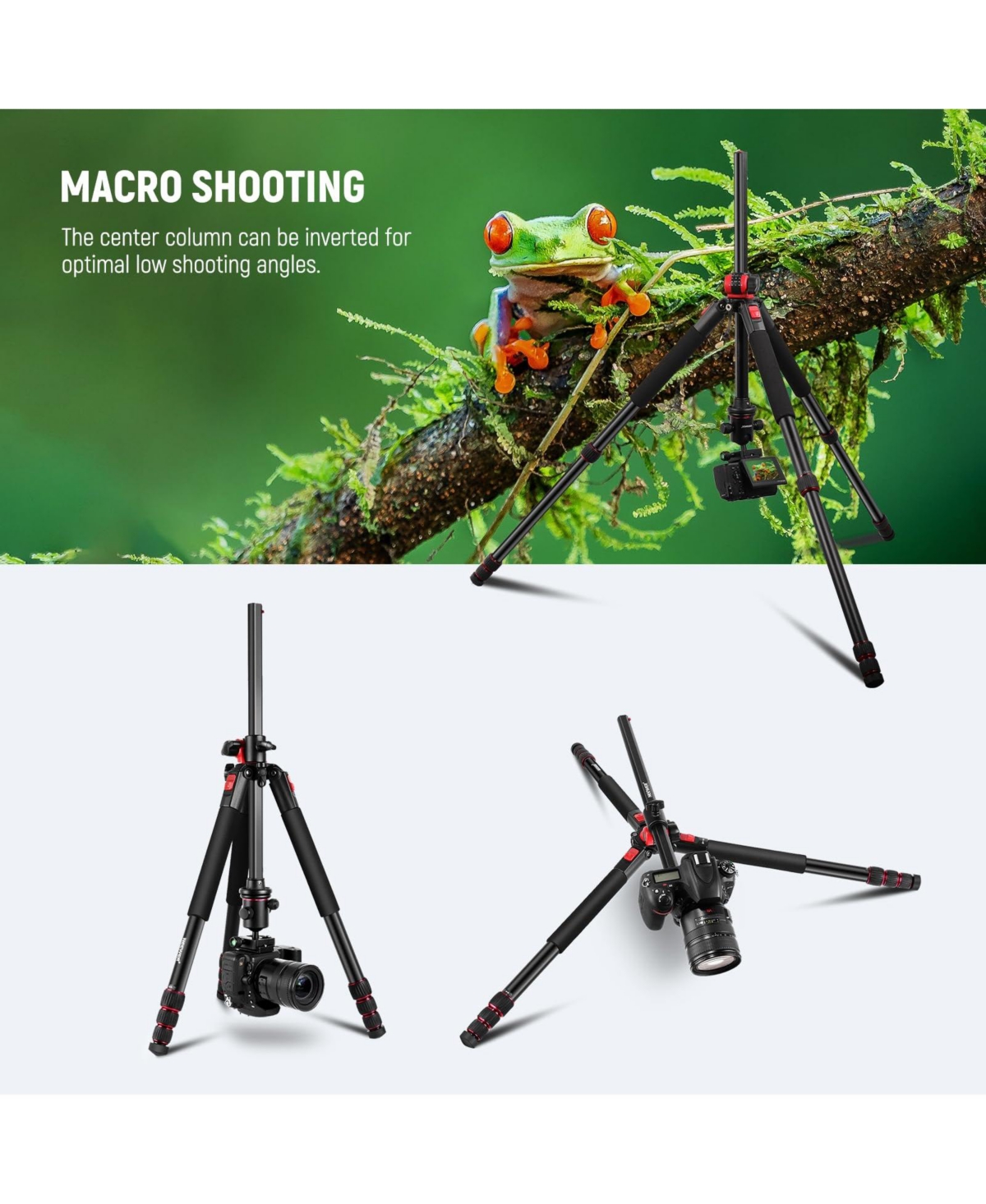Neewer Camera Tripod with 72 inch, 33lb