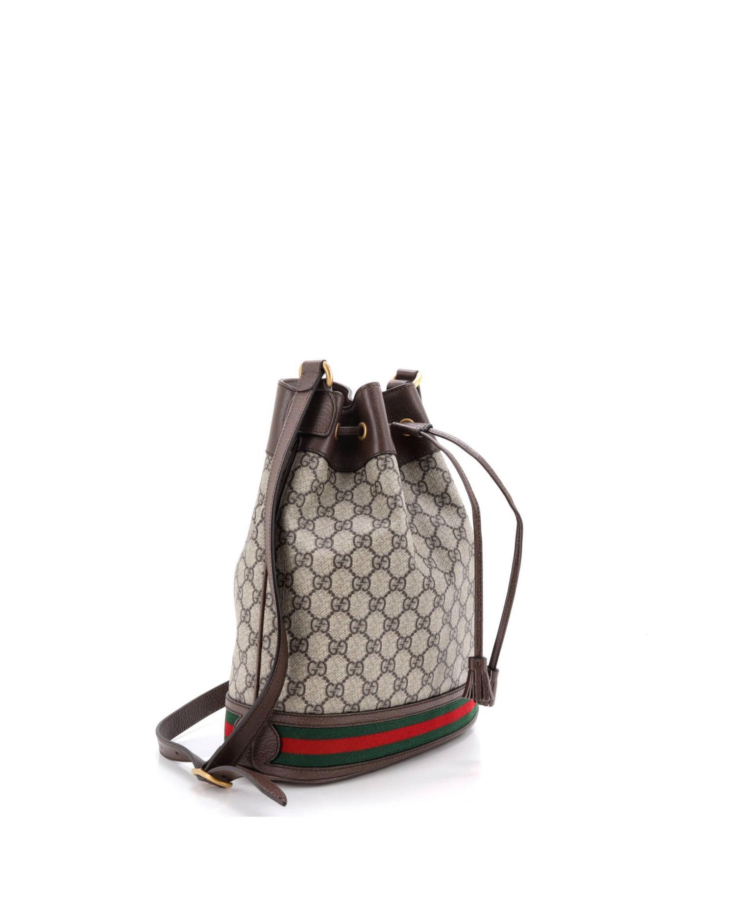 Medium Ophidia Bucket Bag GG Coated Canvas