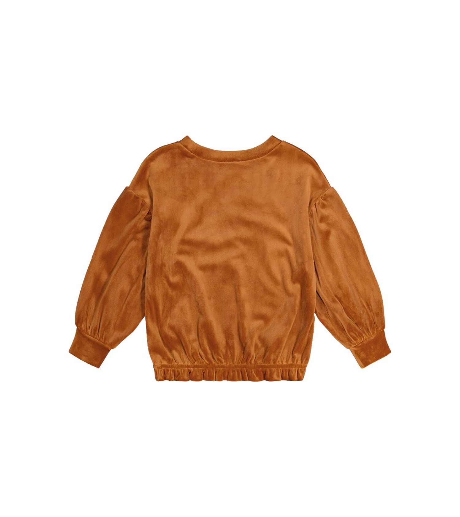 Little and Big Girl 6-14 Velvet Top