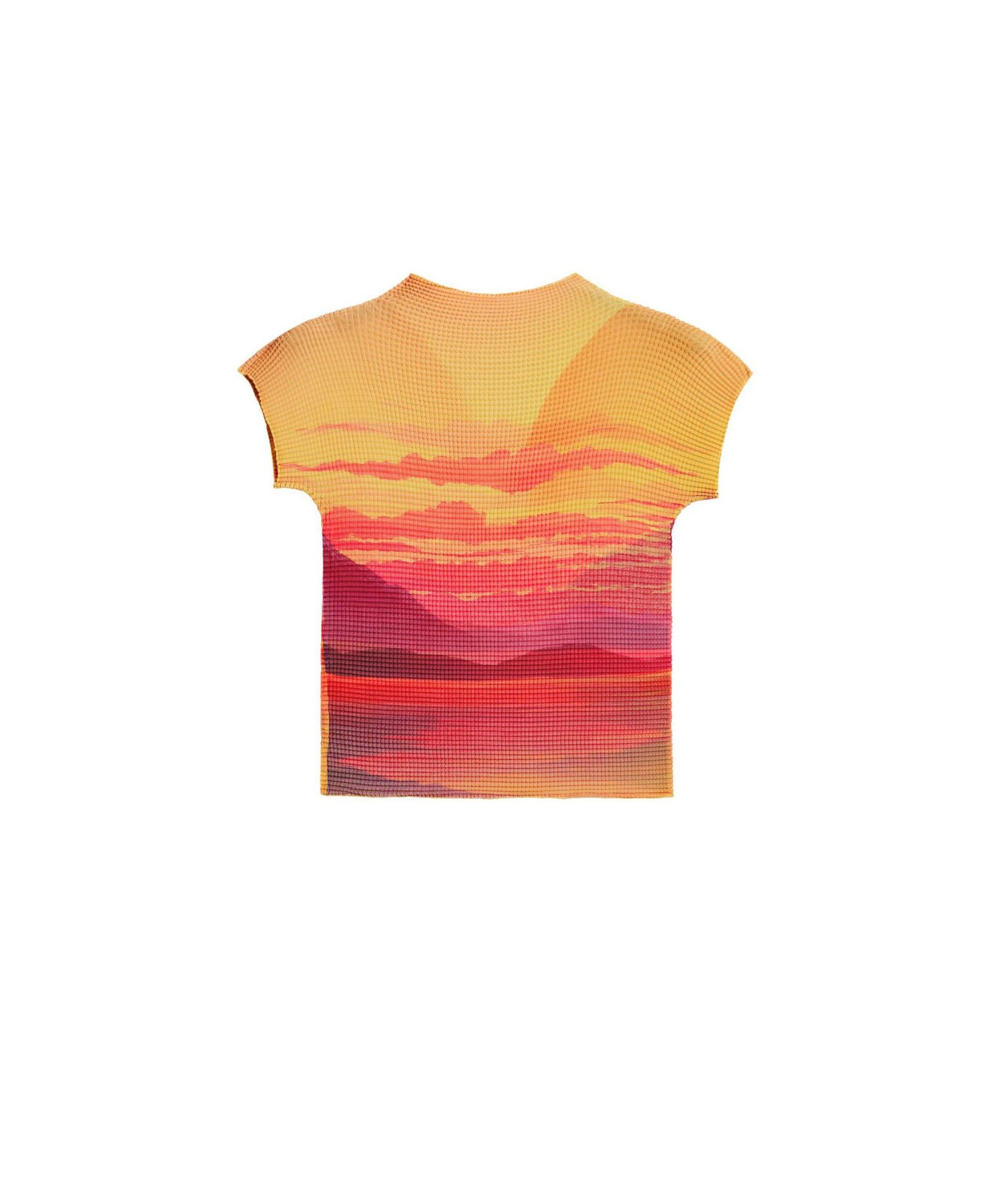 Women's Short-Sleeved High Neck Blouse