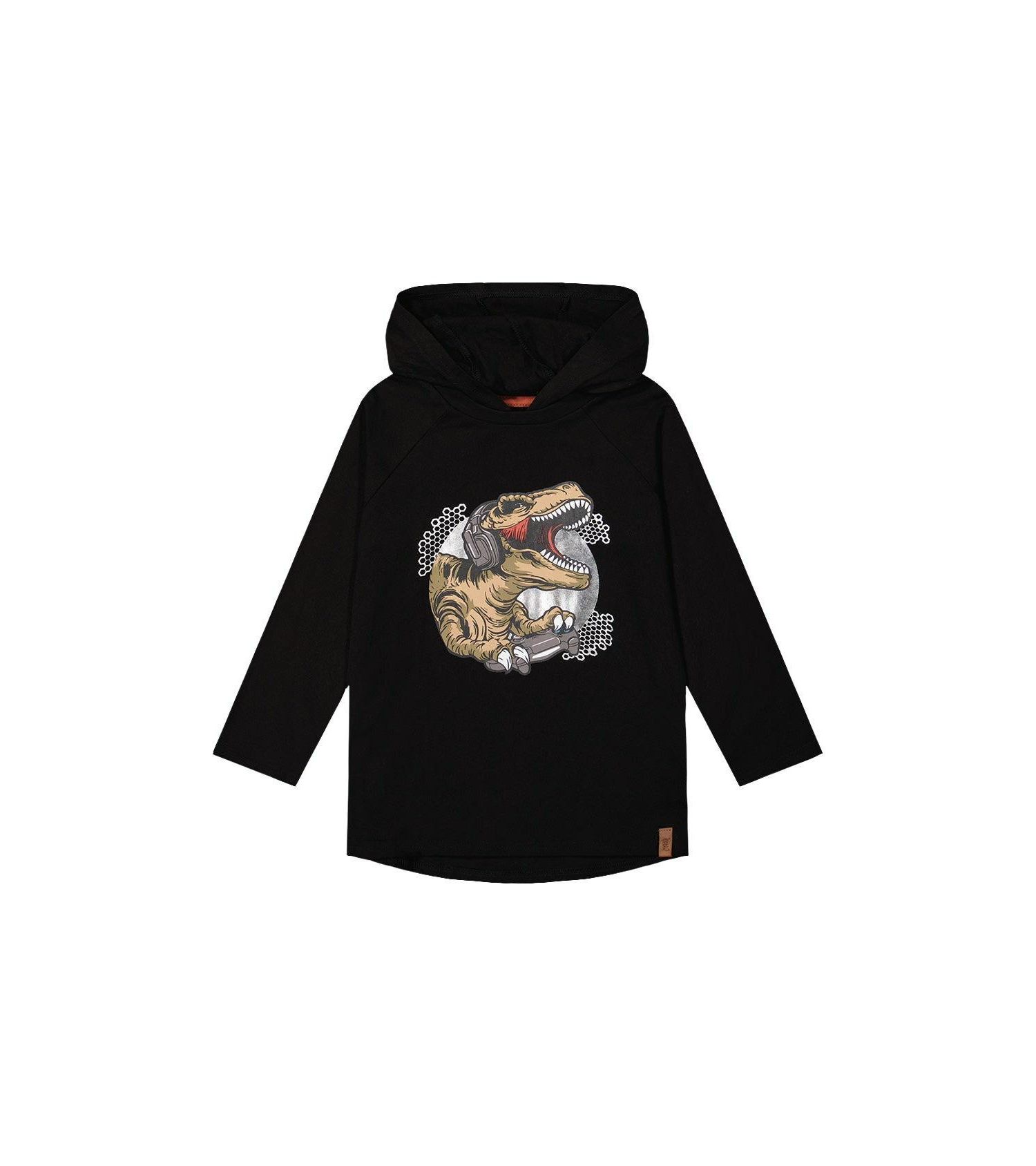 Little and Big Boy 6-12 Raglan Hooded T-Shirt