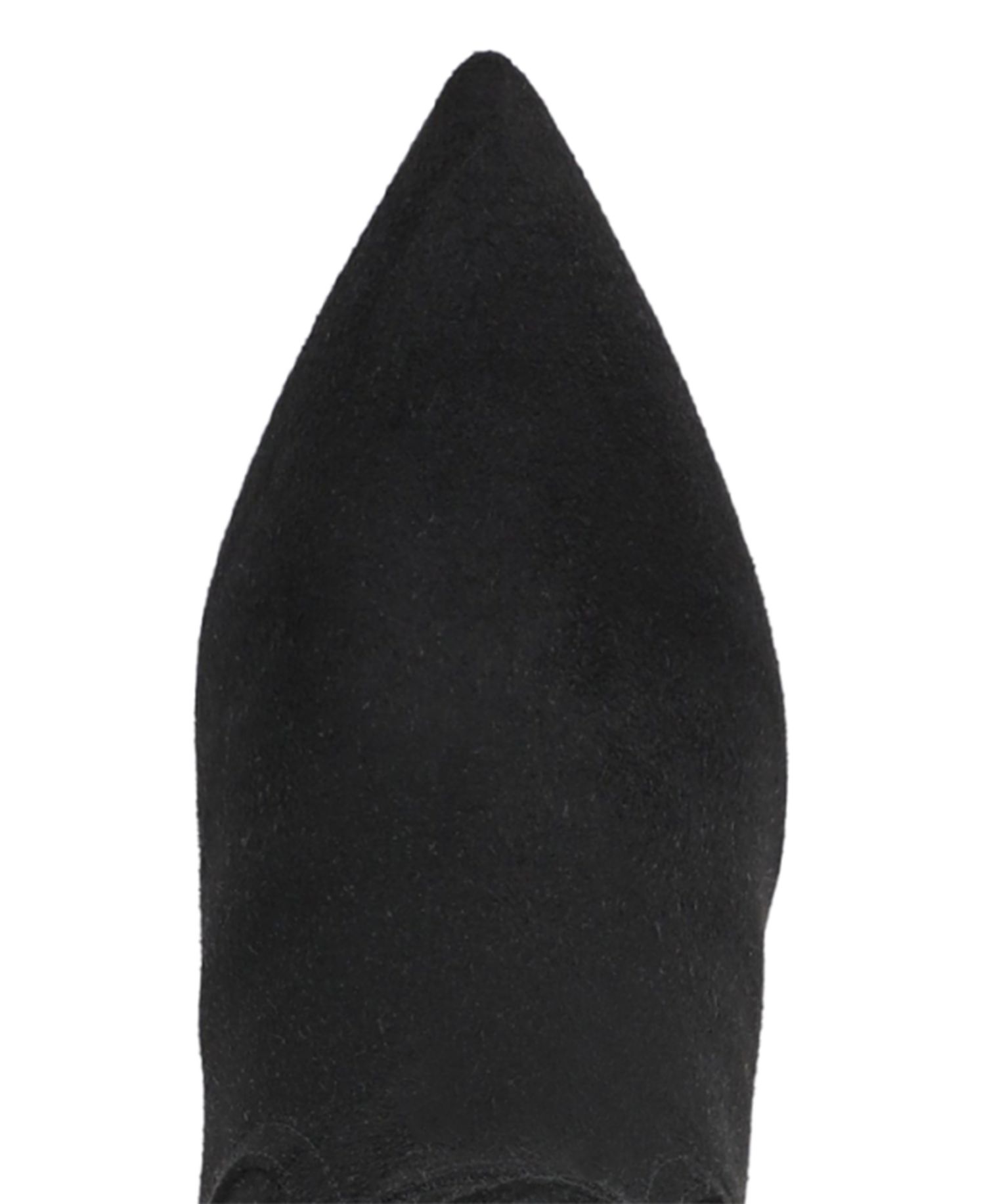 Women's Renee Zipper Tall Boots