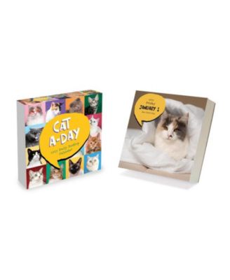 2027 Cat A Day Daily Desktop Calendar