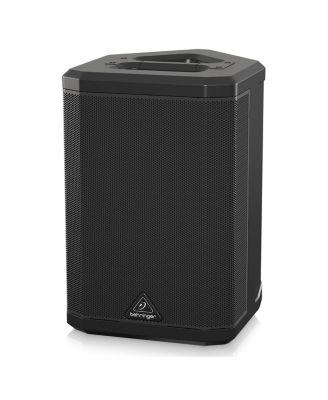 B1X 250W All-In-One Portable PA Bluetooth Speaker