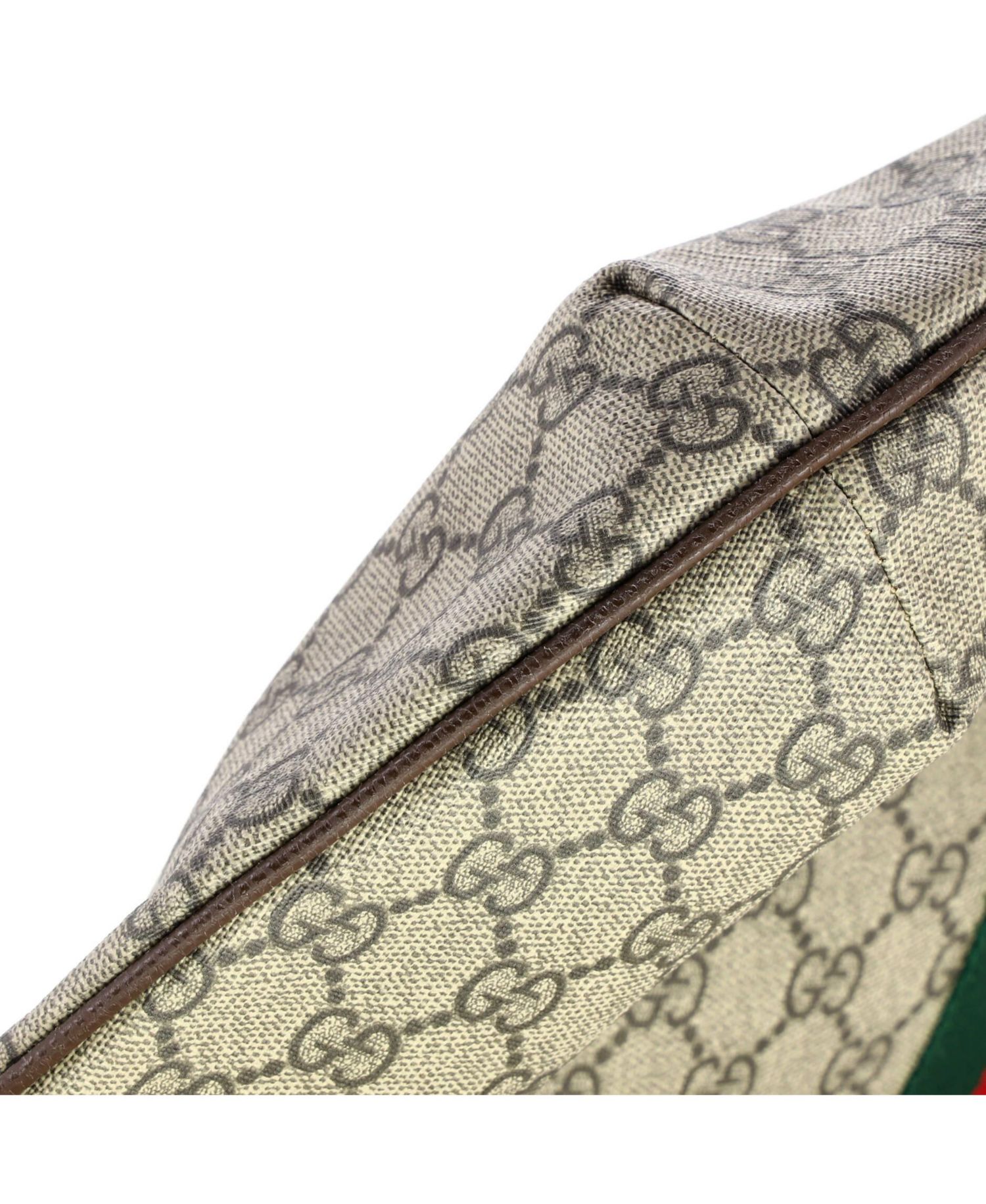 Large Ophidia Half Moon Hobo GG Coated Canvas