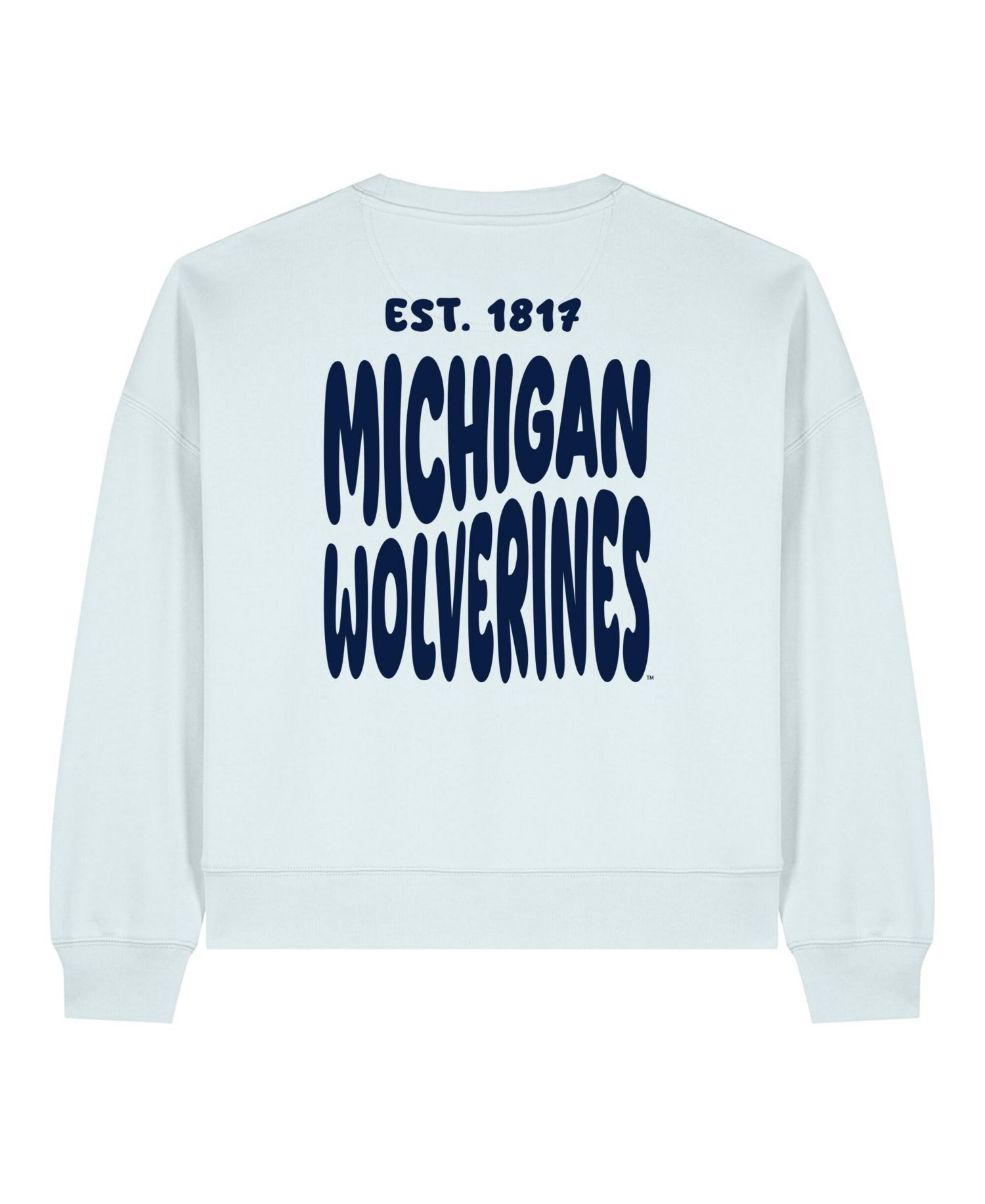 Women's Light Blue Michigan Wolverines Cloud Sweatshirt