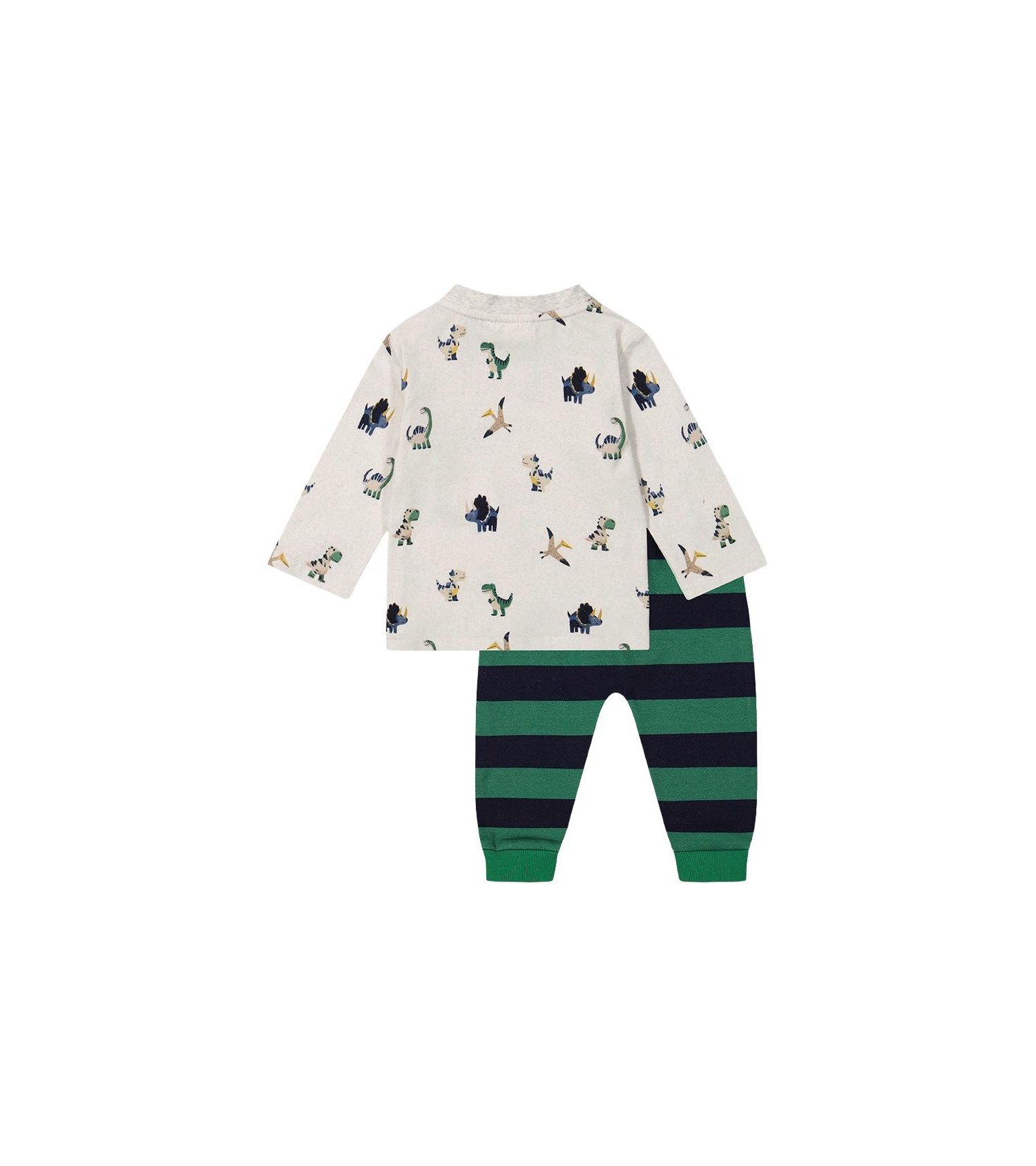 Baby Boy (6M-24M) Cotton T-Shirt and Fleece Pant Set Dinosaur Print