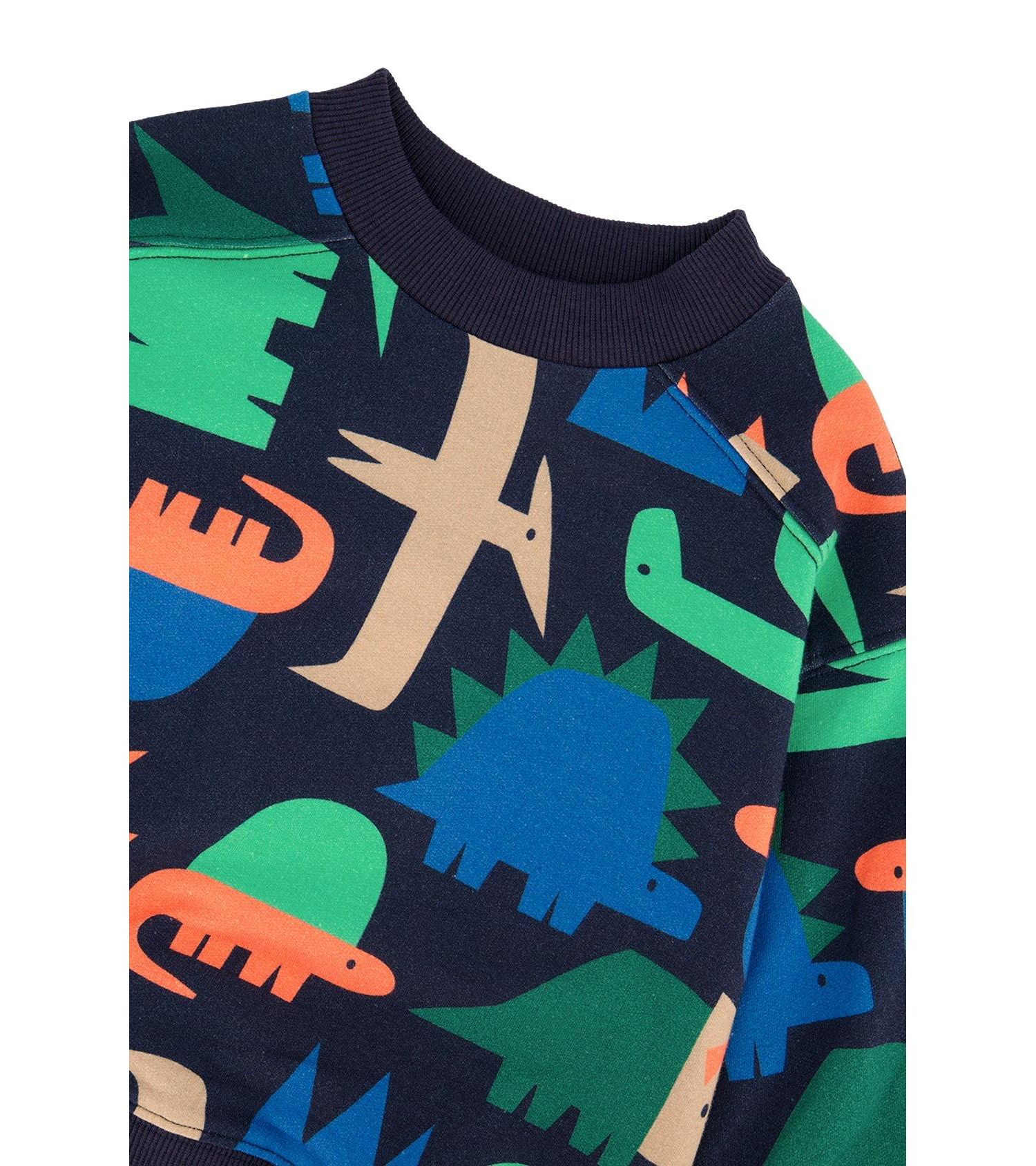 Big Boys (6-12) Fleece Sweatshirt Dinosaur Print