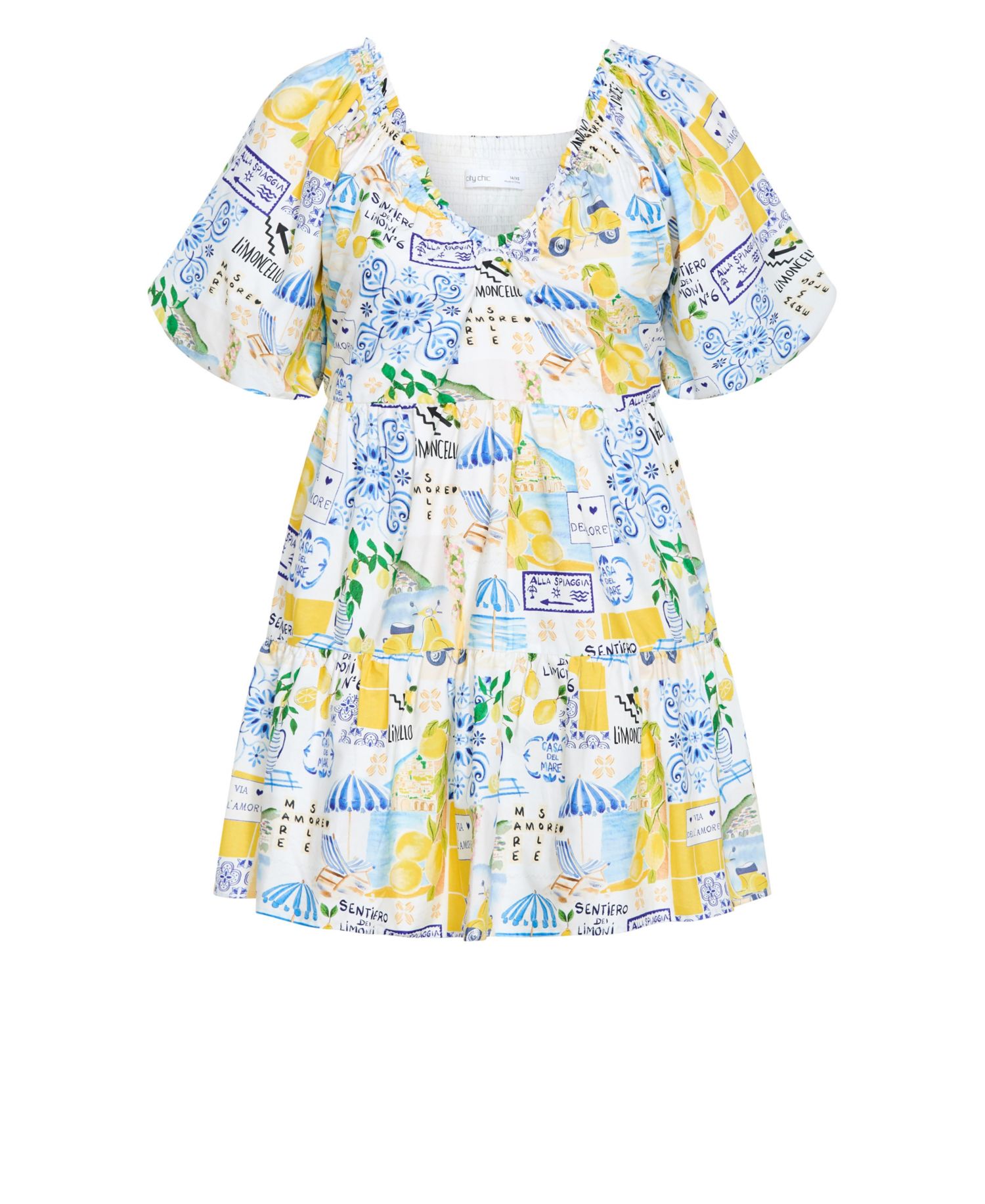 Women's Fantasy Berry Floral Print Puff Sleeve Mini Dress