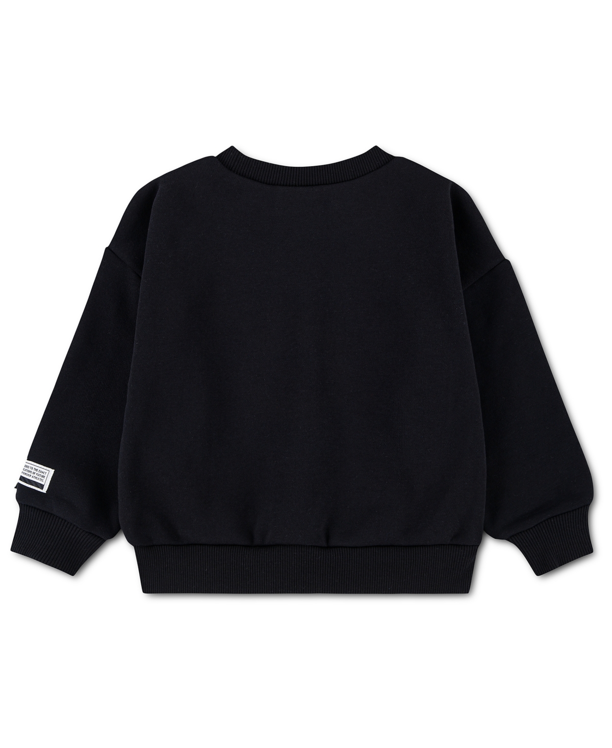 Nike Toddler Boys' 2T-4T Sportswear Multisport Fleece Sweatshirt