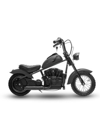 24V 250W Electric Dirt Bike for Kids, 2-Speed Ride On Motorcycle, Up to 14 MPH, Leather Seat, Rear Brake, For Ages 8-12