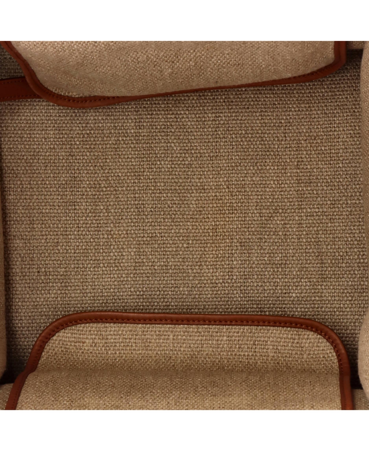 Pre-Owned Celine Medium Phantom Bag Canvas