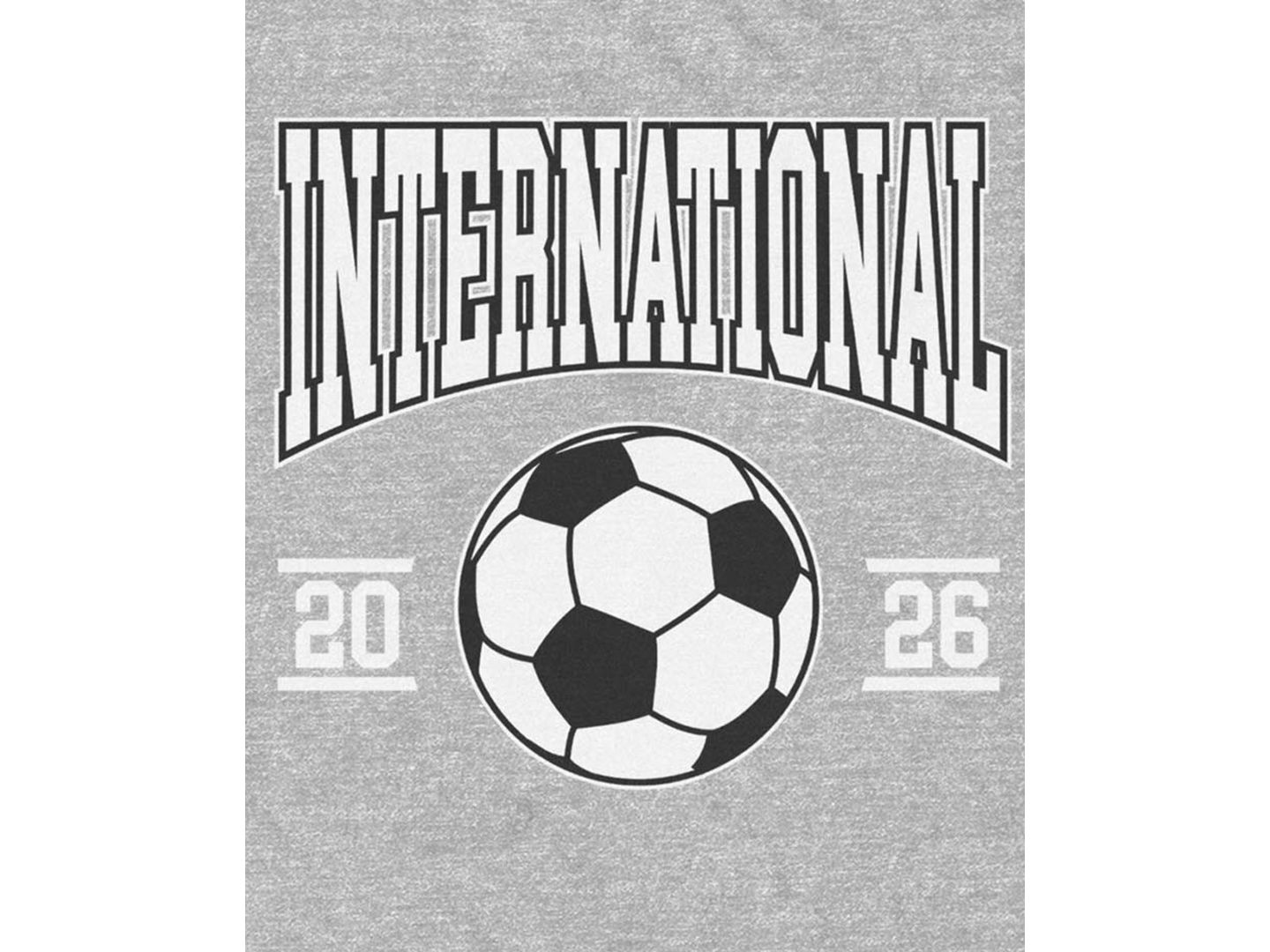 Мужская футболка Fifth Sun International Soccer Graphic, цвет: Серый — фото 3