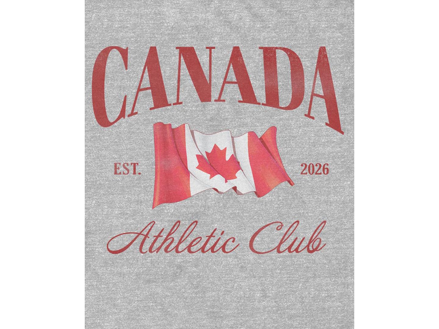 Мужская футболка Fifth Sun Soccer Canada Graphic, цвет: Серый — фото 3