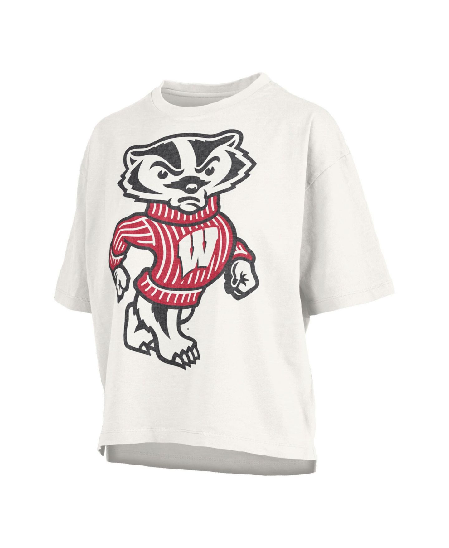 Женская футболка Pressbox Wisconsin Badgers Big Canvas Puff Castillo Motley Graphic Slub — фото 3