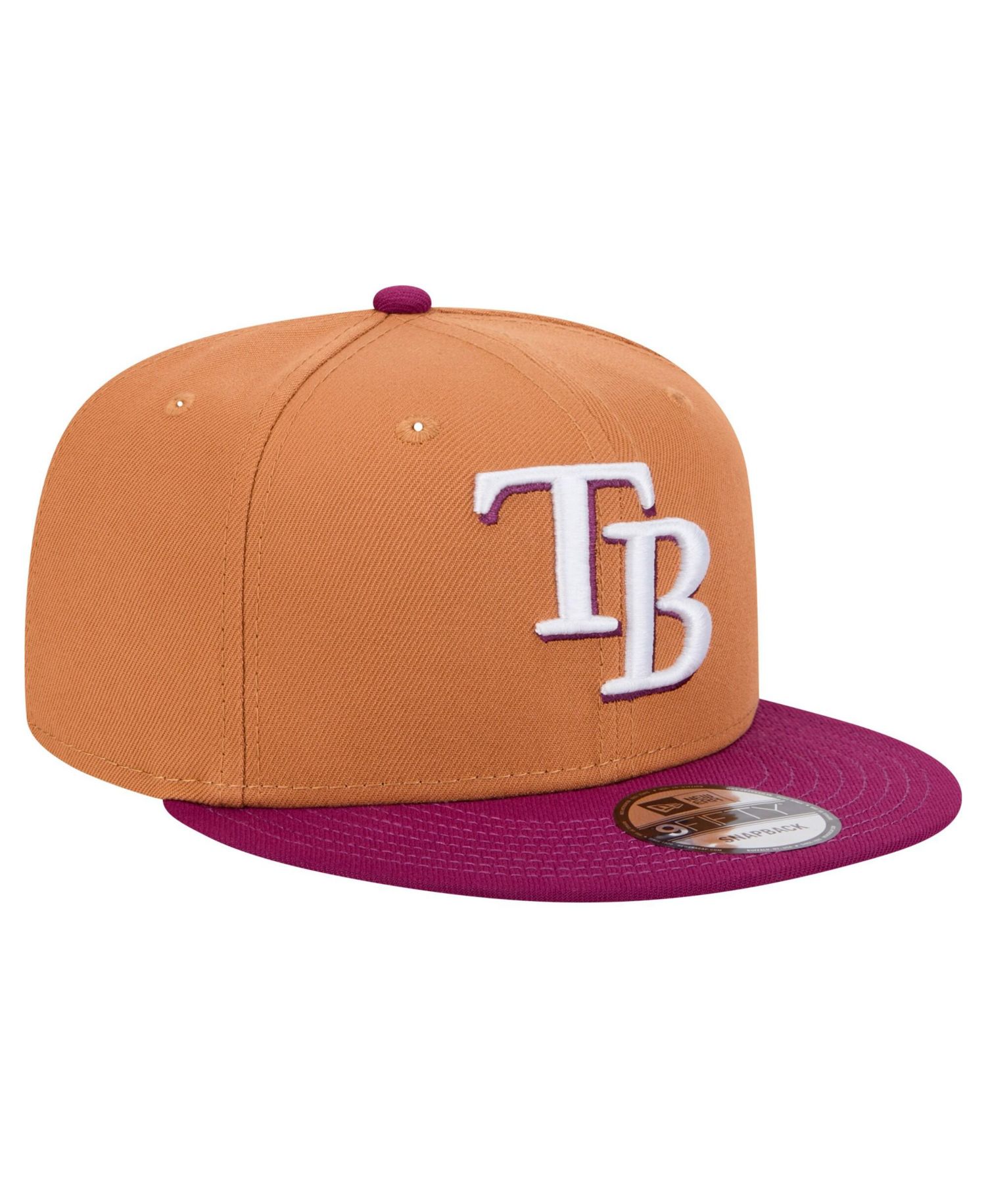 Men's Brown/Purple Tampa Bay Rays Color Pack Two-Tone 9FIFTY Snapback Hat