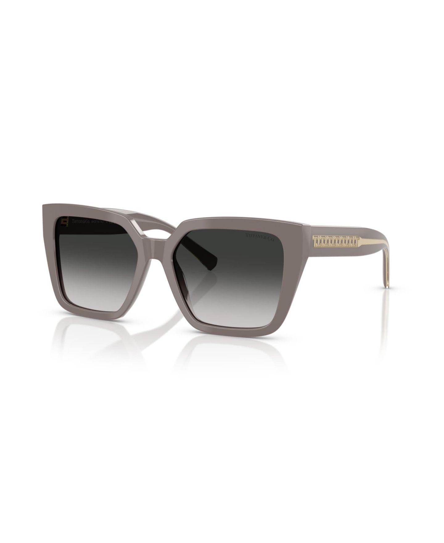 Женские солнцезащитные очки Tiffany & Co. Sunglasses, TF4235, цвет: Шоколадный трюфельный — фото 1