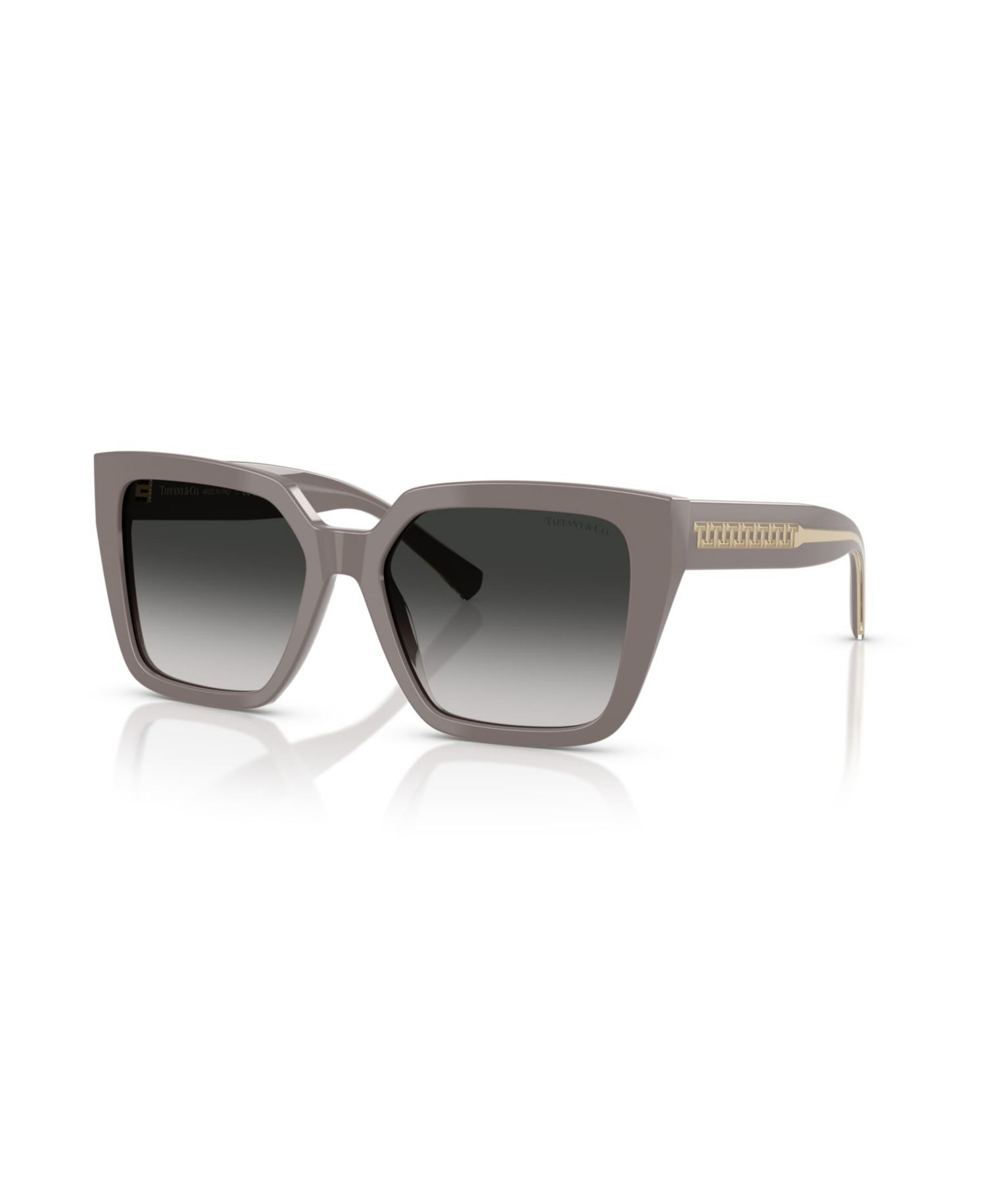 Women's Sunglasses, TF4235