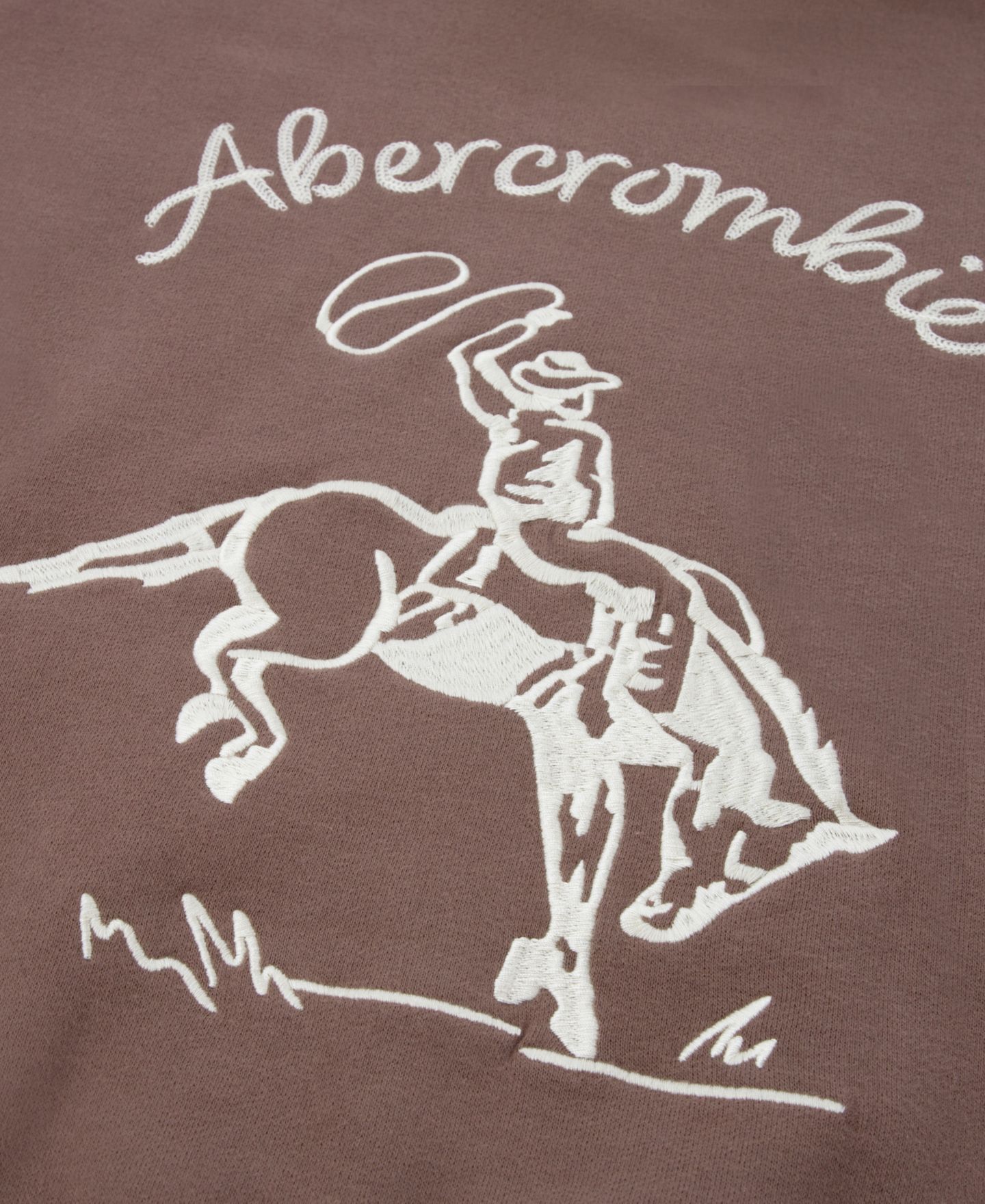 Худи abercrombie kids Long-Sleeve Saddle Up для мальчиков, цвет: Глубокий серо-коричневый — фото 3