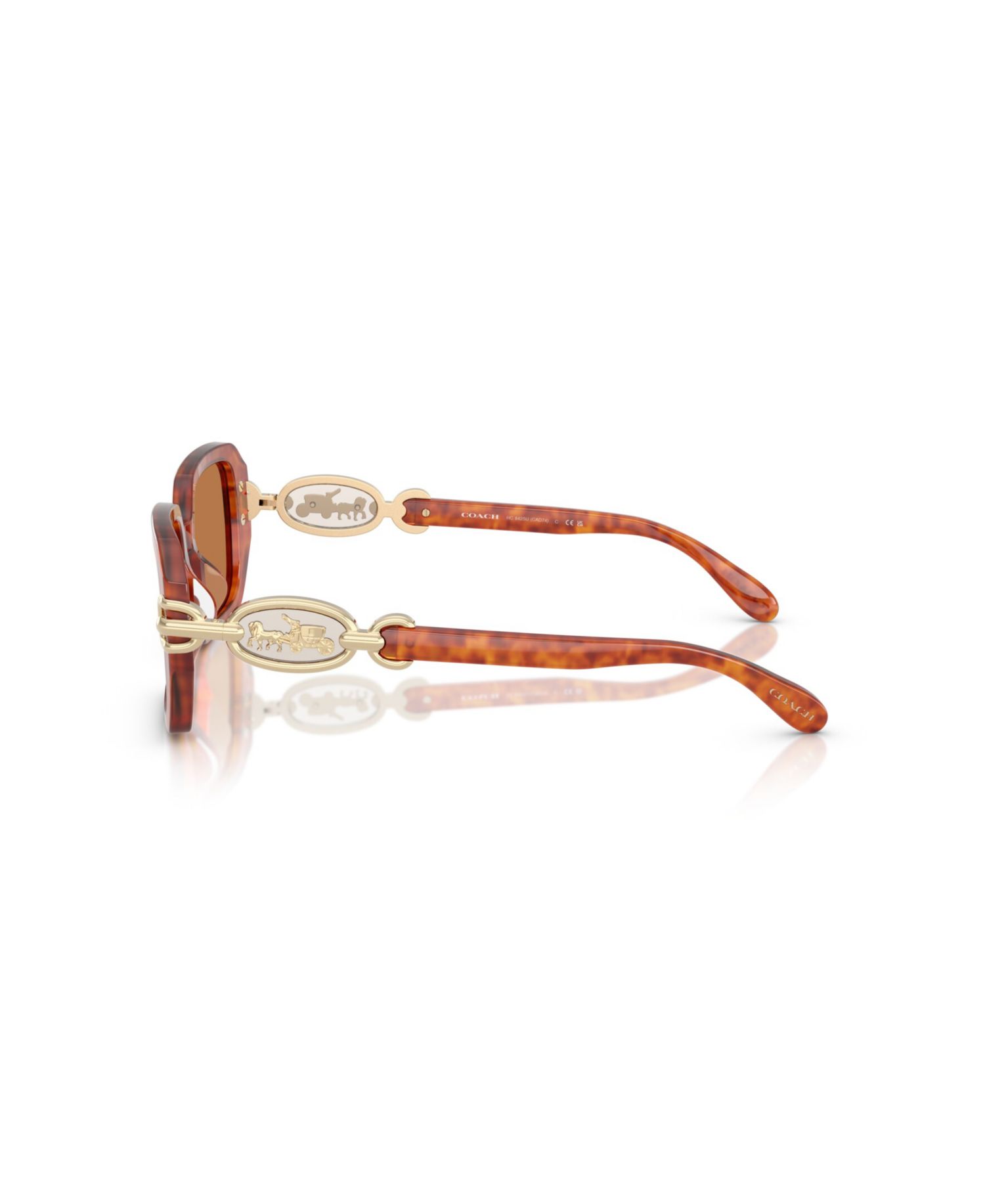 Women's Sunglasses, CAD74 HC8425U