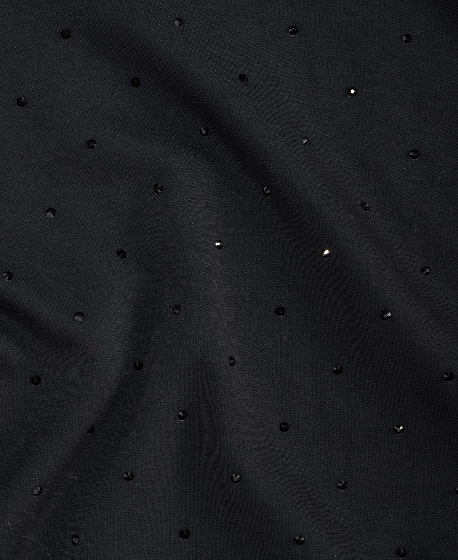 Petite Shine Embellished Hoodie