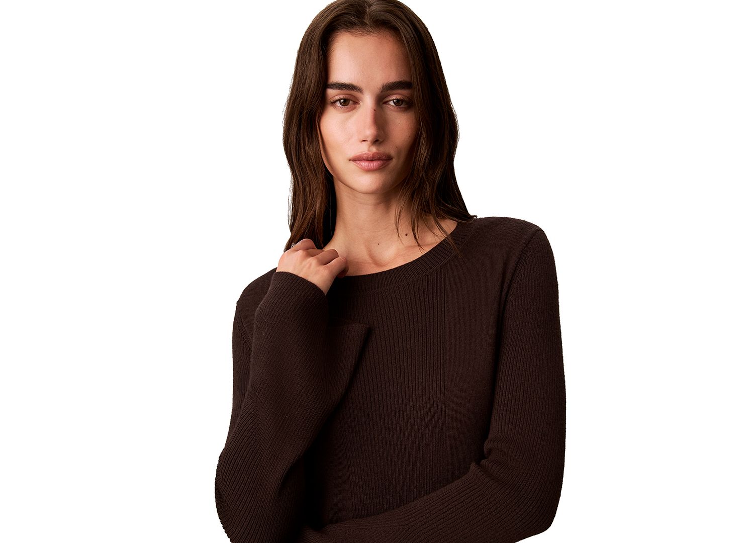 Petite Ribbed Sculpted-Sleeve Crewneck Sweater