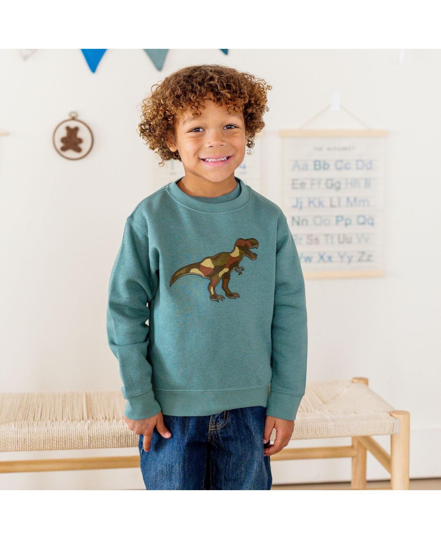 Little Boys Camo Dino Patch Sweatshirt