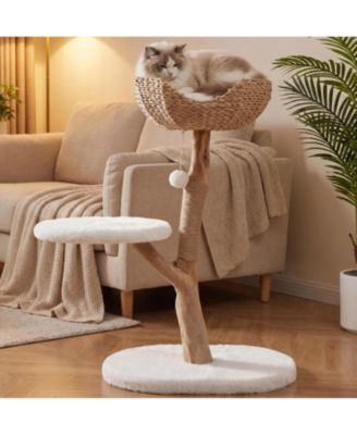 Solid Wood Cat Tree for Indoor Cats: 35" small cat tower with natural branch scratching post, wicker basket bed, perch, toy and stable base