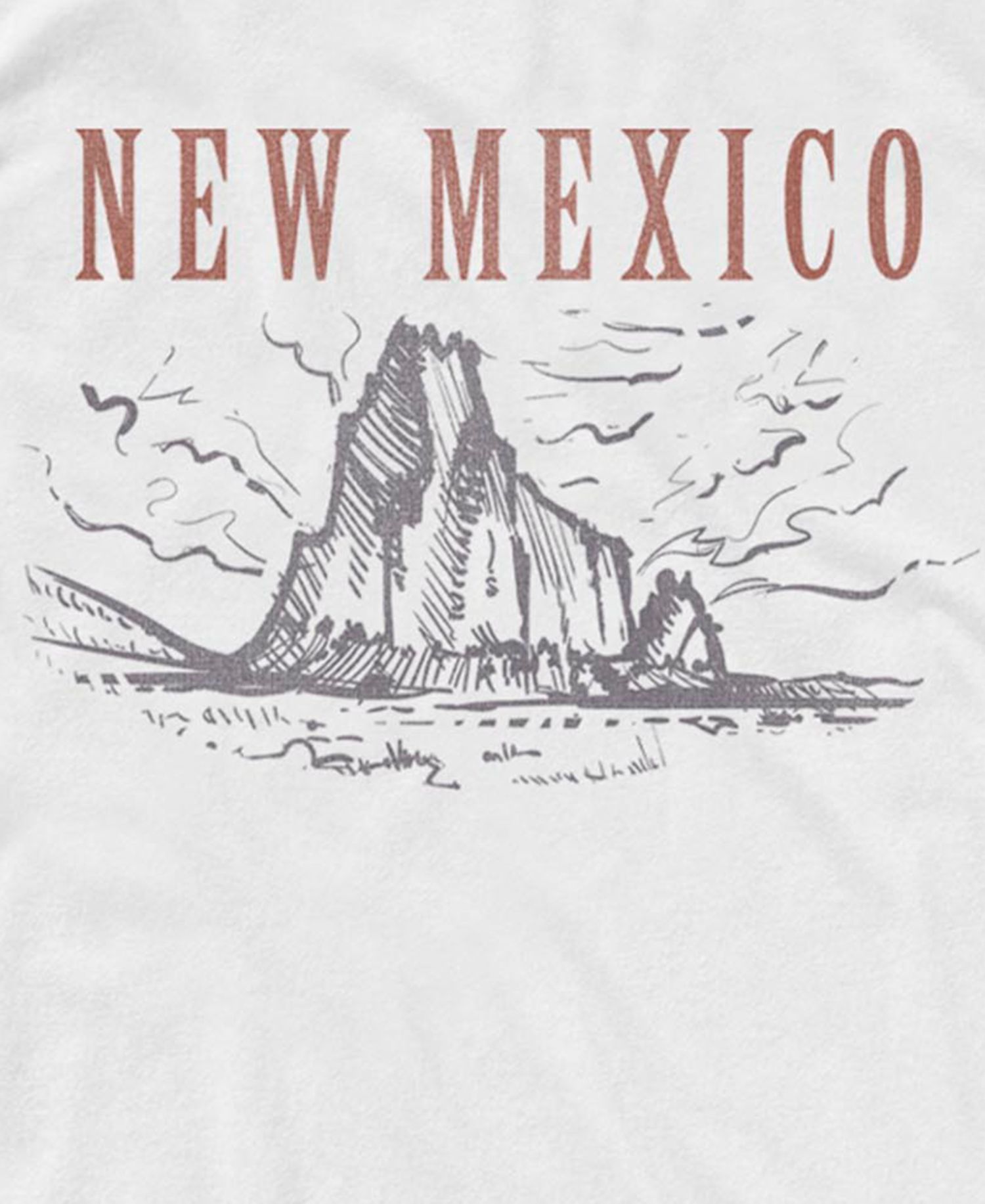 Men's New Mexico Desert Mesa Graphic Tank Top