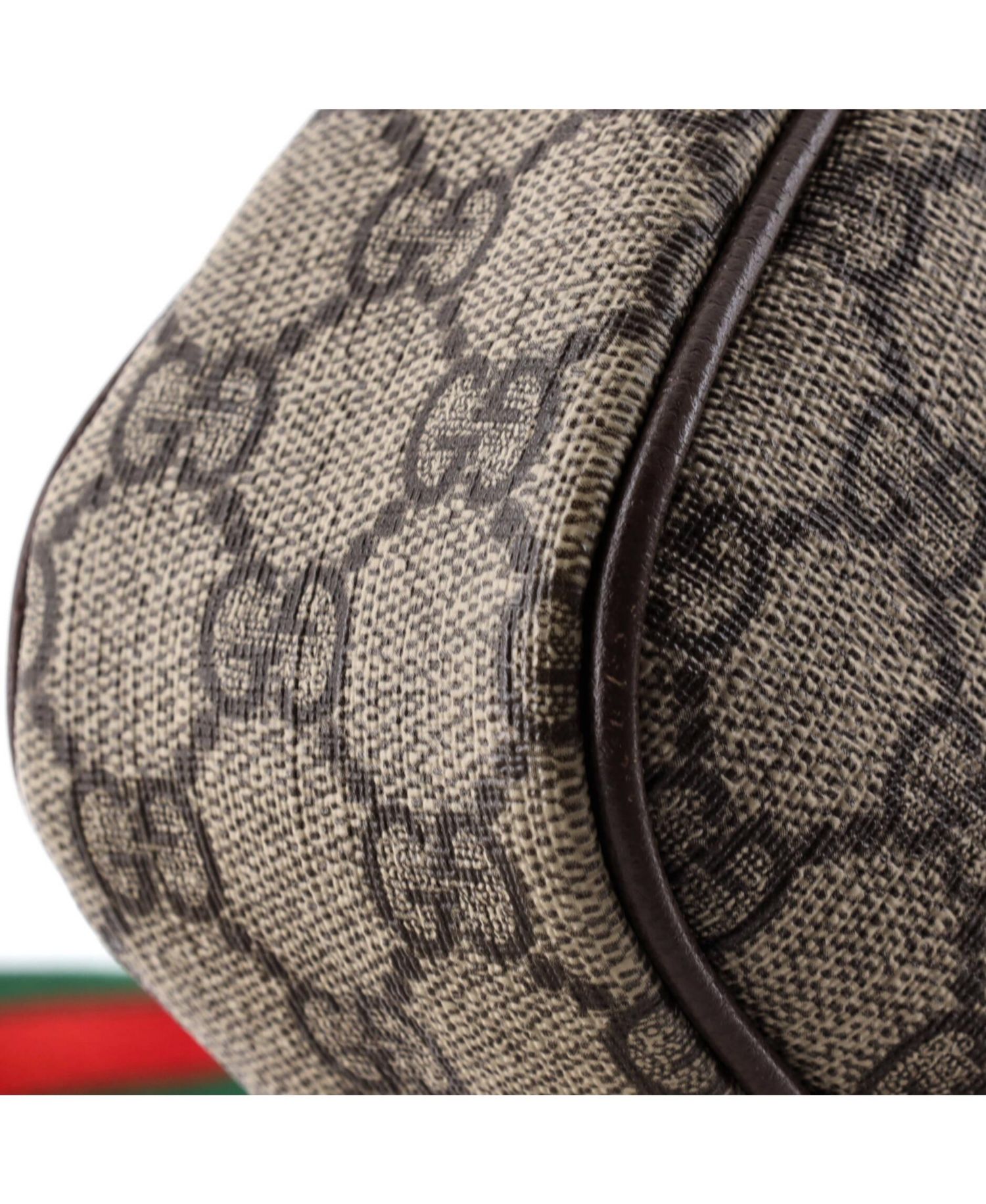 Small Ophidia Charm Shoulder Bag GG Coated Canvas