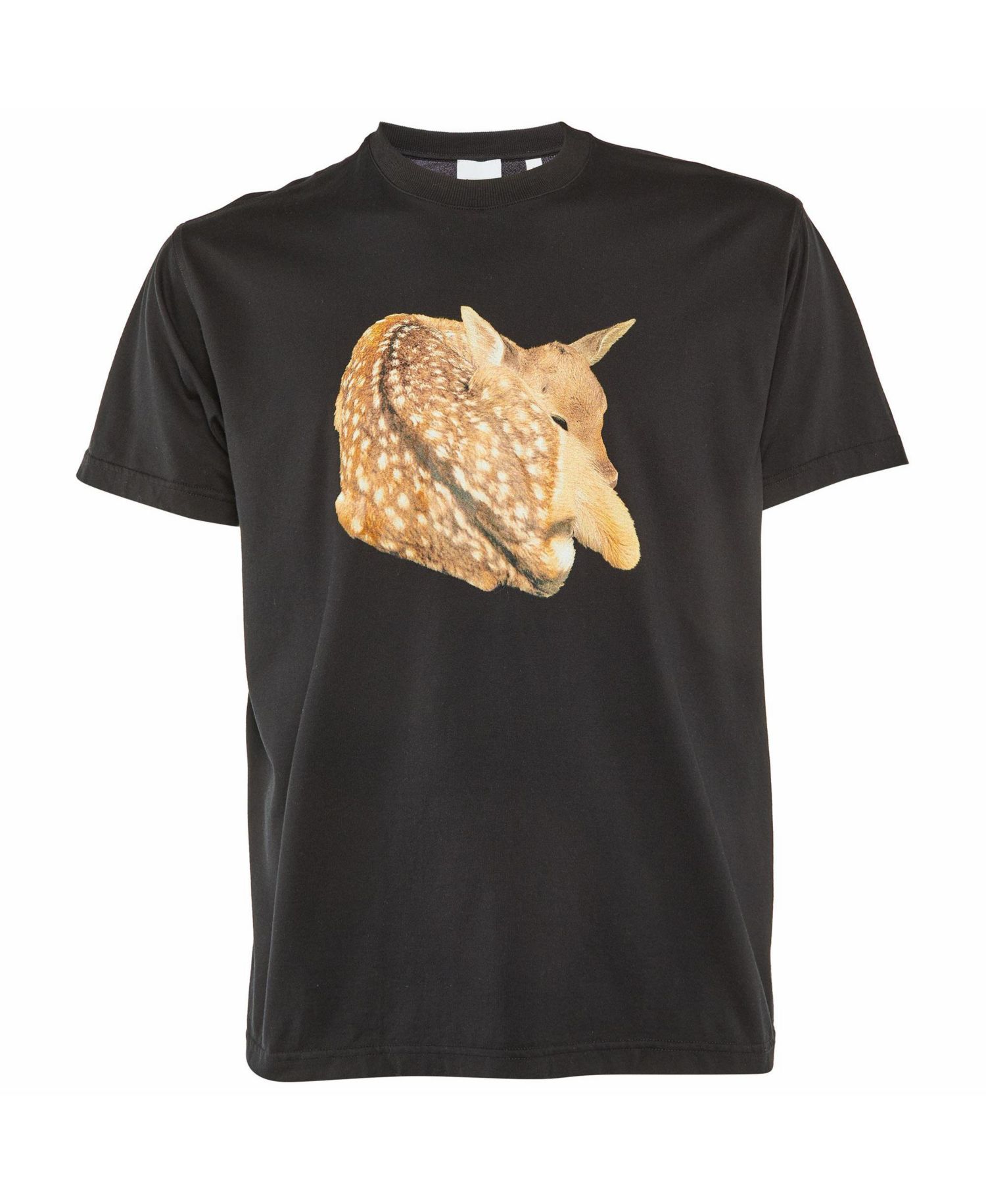 Women's Fawn Graphic Print Cotton T-Shirt