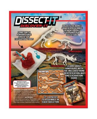 Dino Dig Excavation Kit, Ages 12+