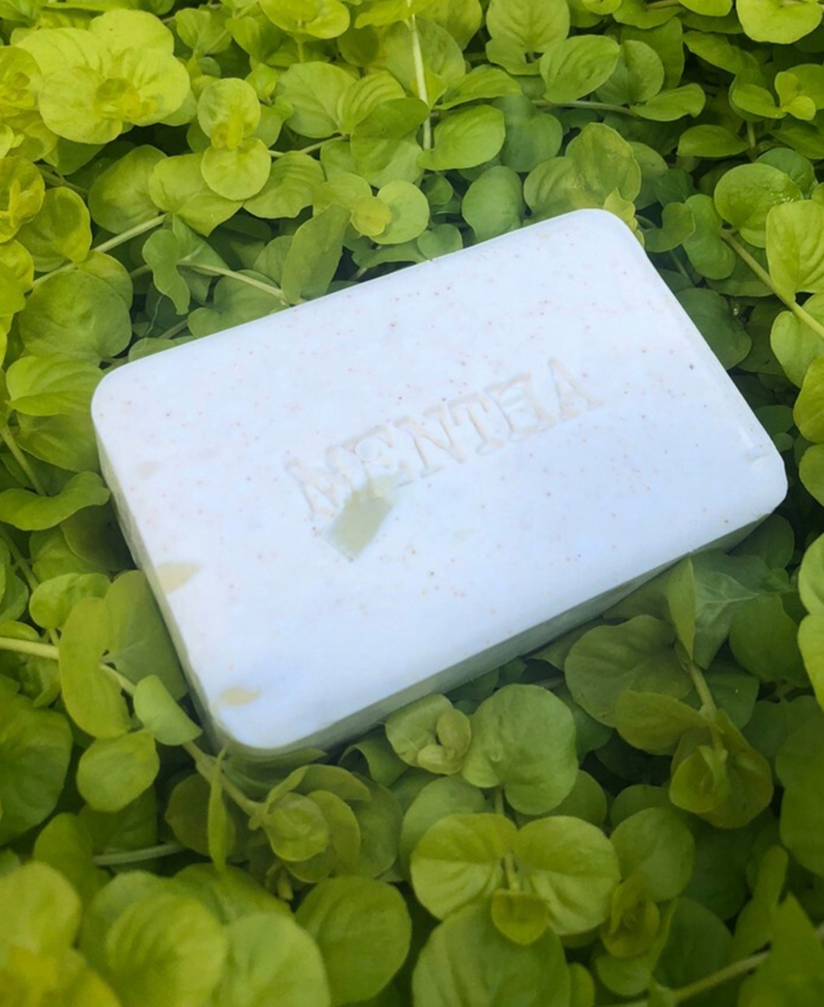 C.o. Bigelow Mentha Exfoliating Bar Soap, 7 oz.