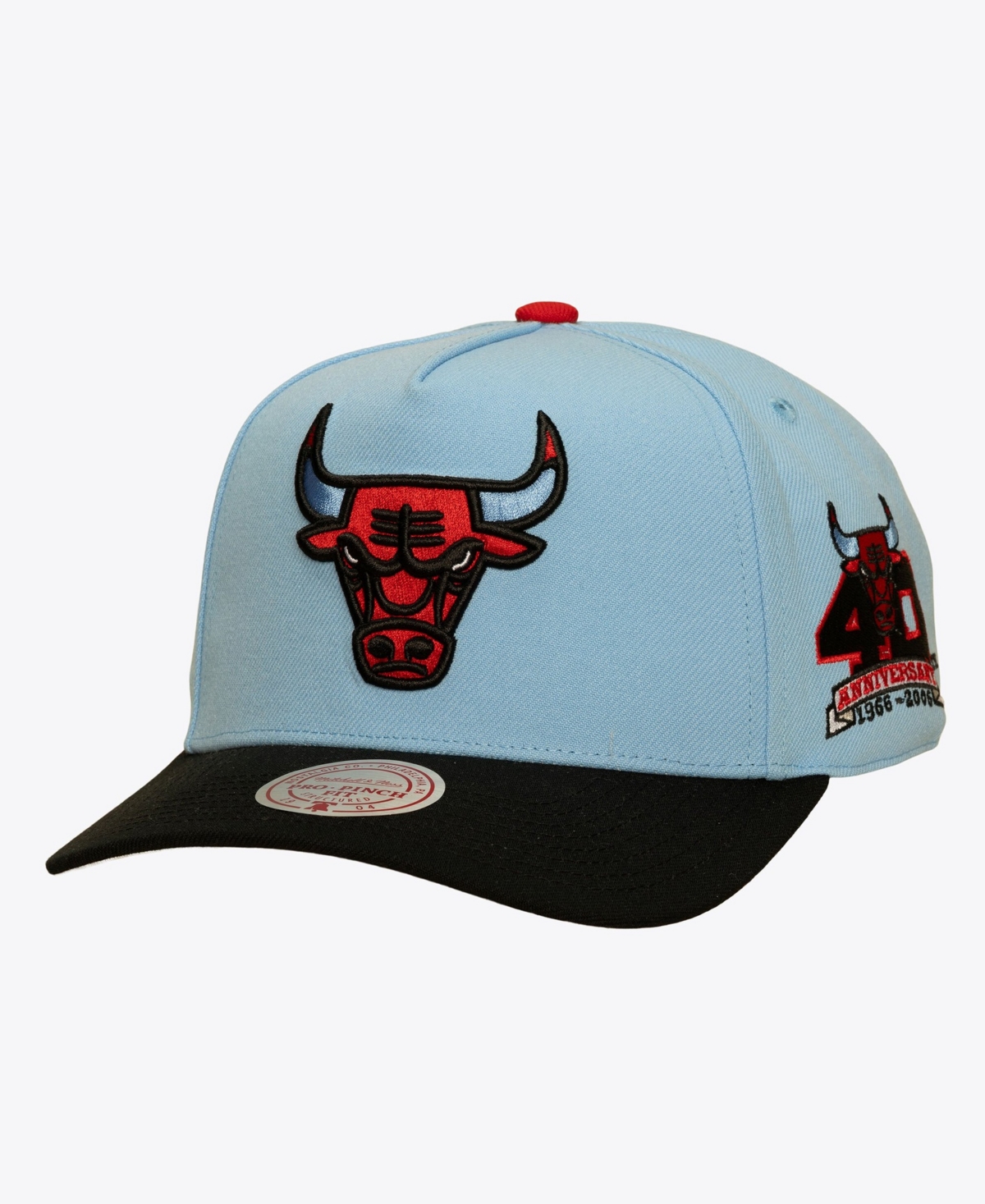 Mitchell & Ness Men's Chicago Bulls In the City Pro Pinch Fit Baseball Cap