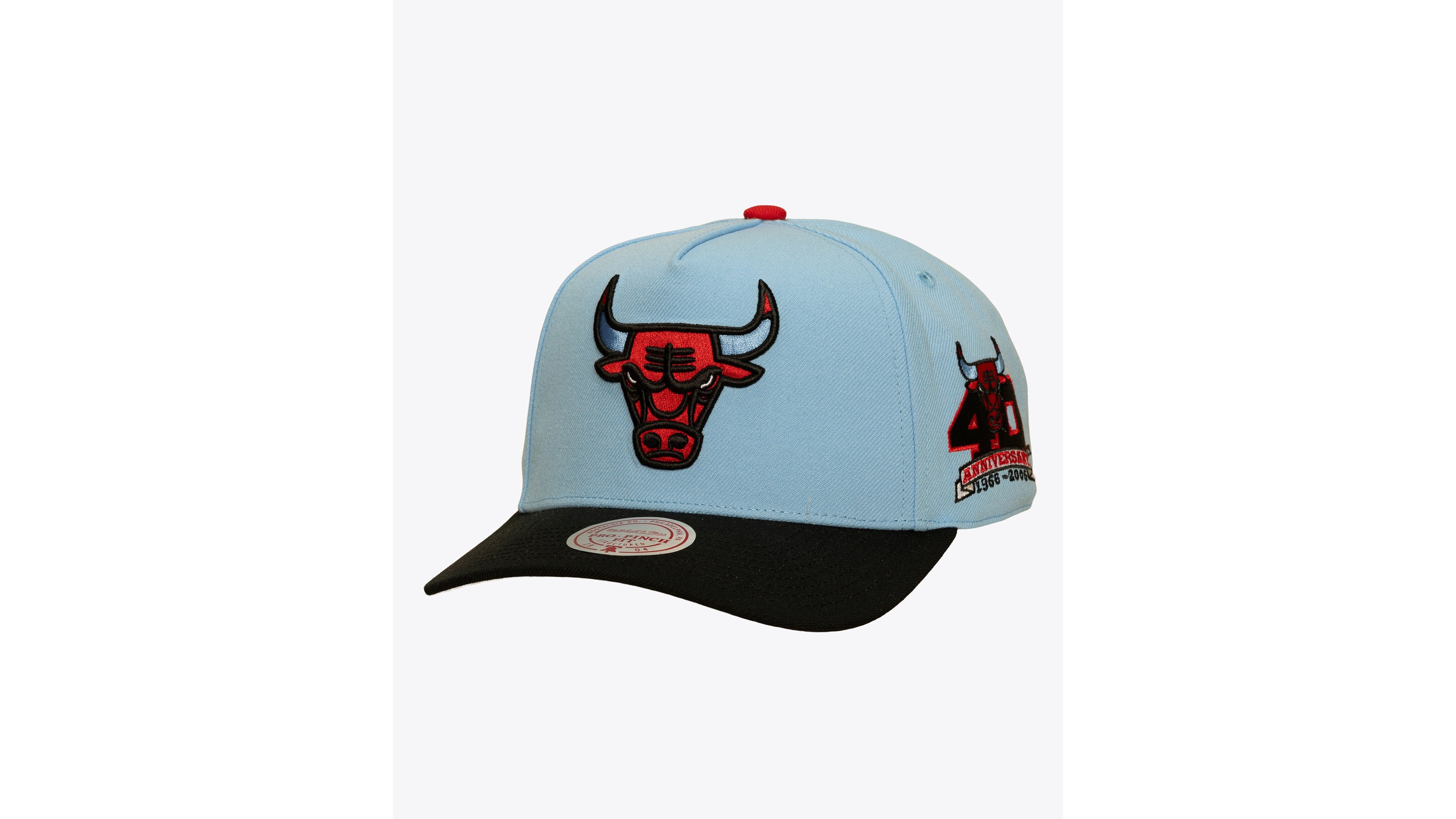 Mitchell & Ness Men's Chicago Bulls In the City Pro Pinch Fit Baseball Cap