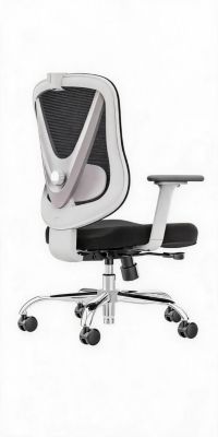 Ergonomic Y-Frame Office Chair with Lumbar Support, Adjustable Swivel, Padded Seat, Smooth Casters for Home Office and Living Room Use