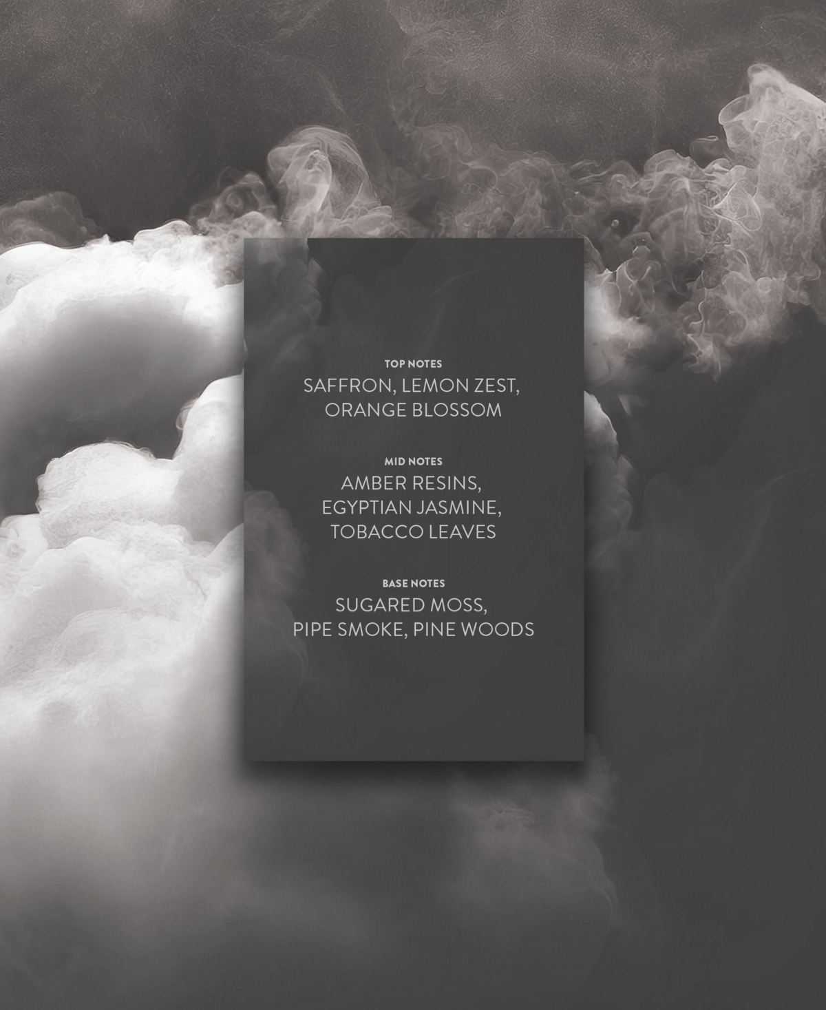 Michael Malul Amber and Smoke Eau de Parfum