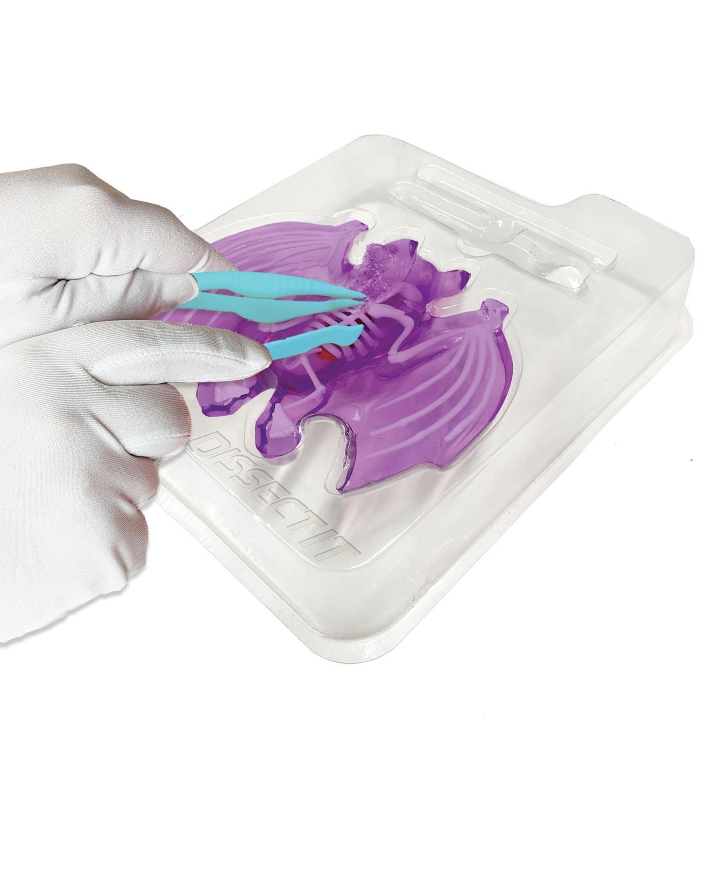 Детские игрушки Dissect-It Bat Lab Realistic Dissection Kit, Ages 6+ — фото 5