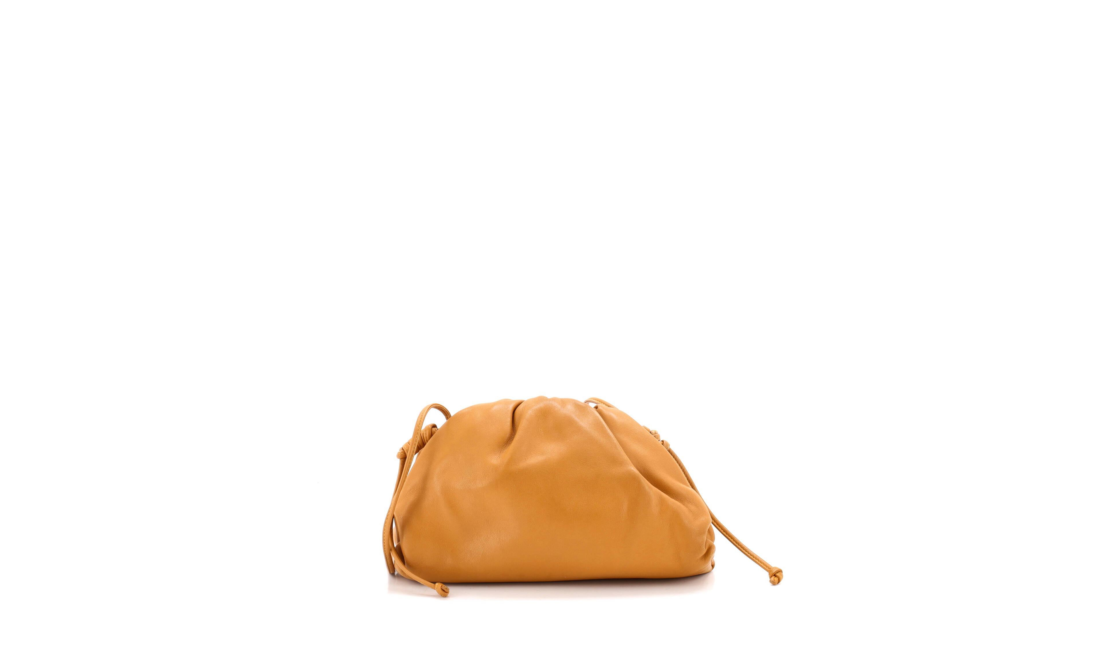 Pre-Owned Bottega Veneta Mini The Pouch Leather