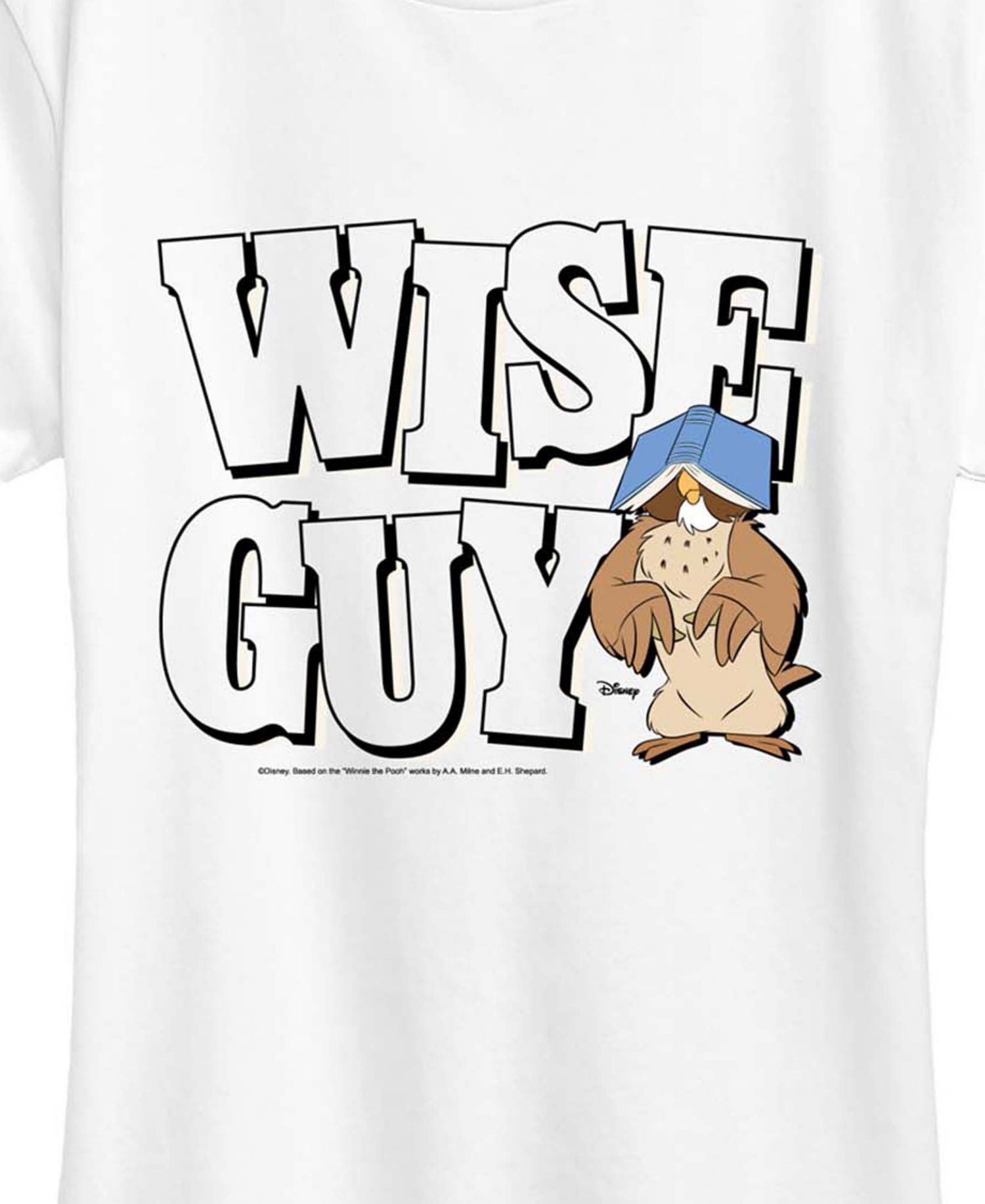 Plus Size Disney Crewneck Short-Sleeve Graphic T-Shirt