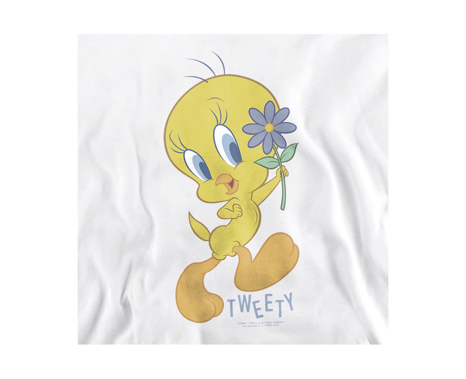 Men's Tweety Flower Graphic Long-Sleeve Sweatshirt
